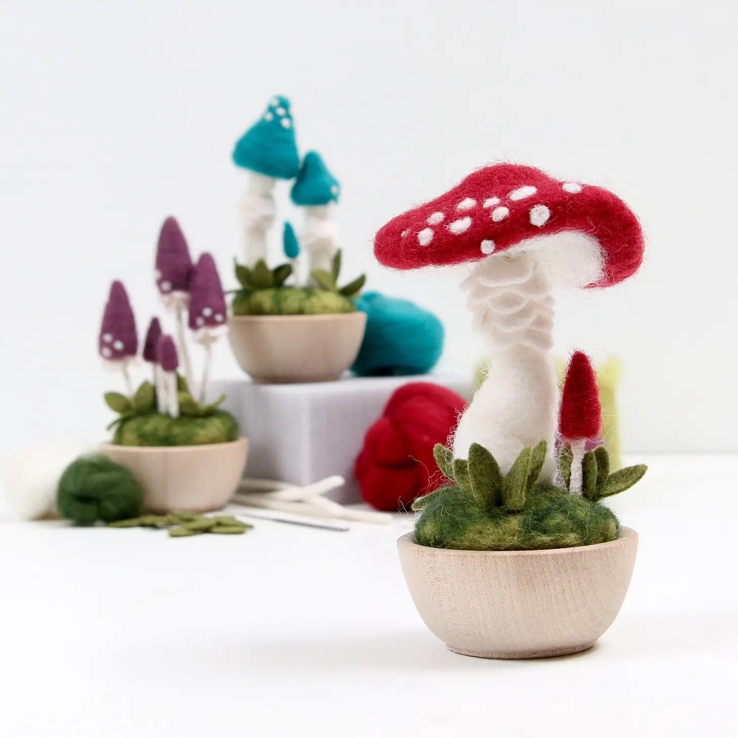Mushrooms Needle Felting Craft Kit