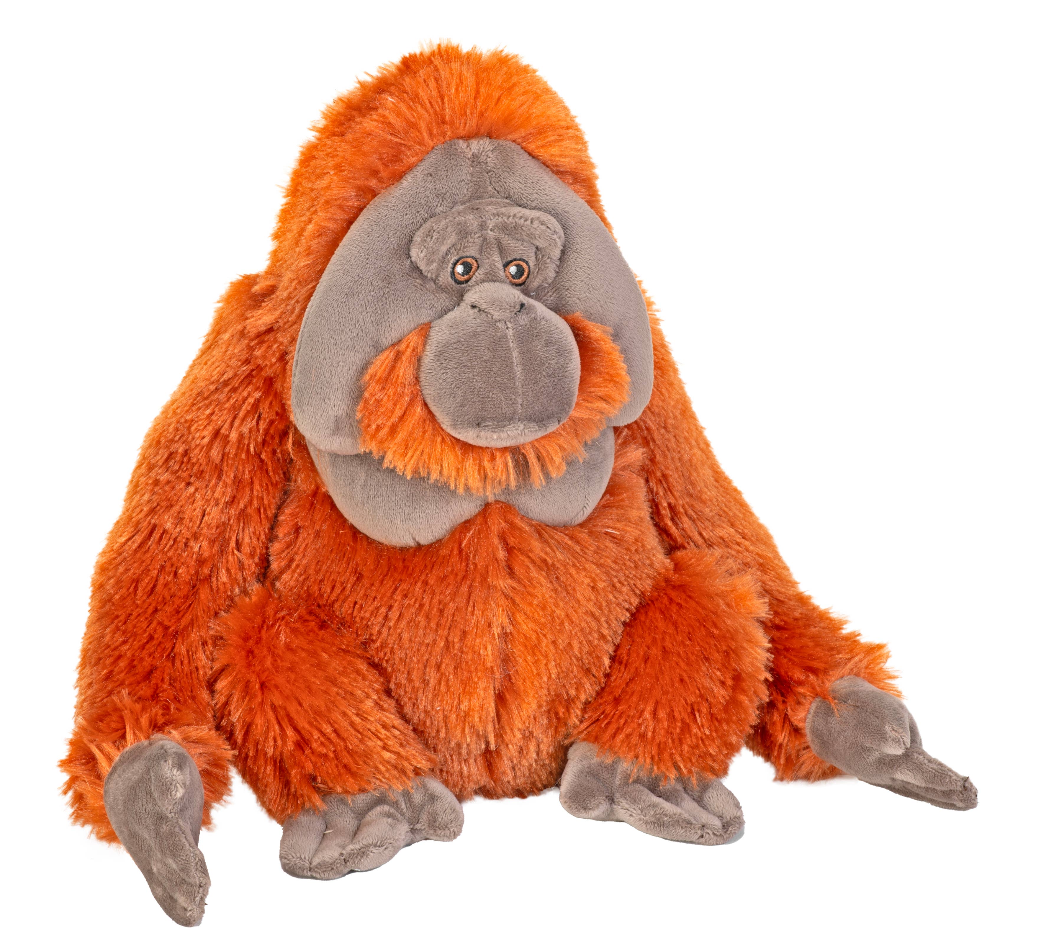 Ck-Eco Orangutan Male