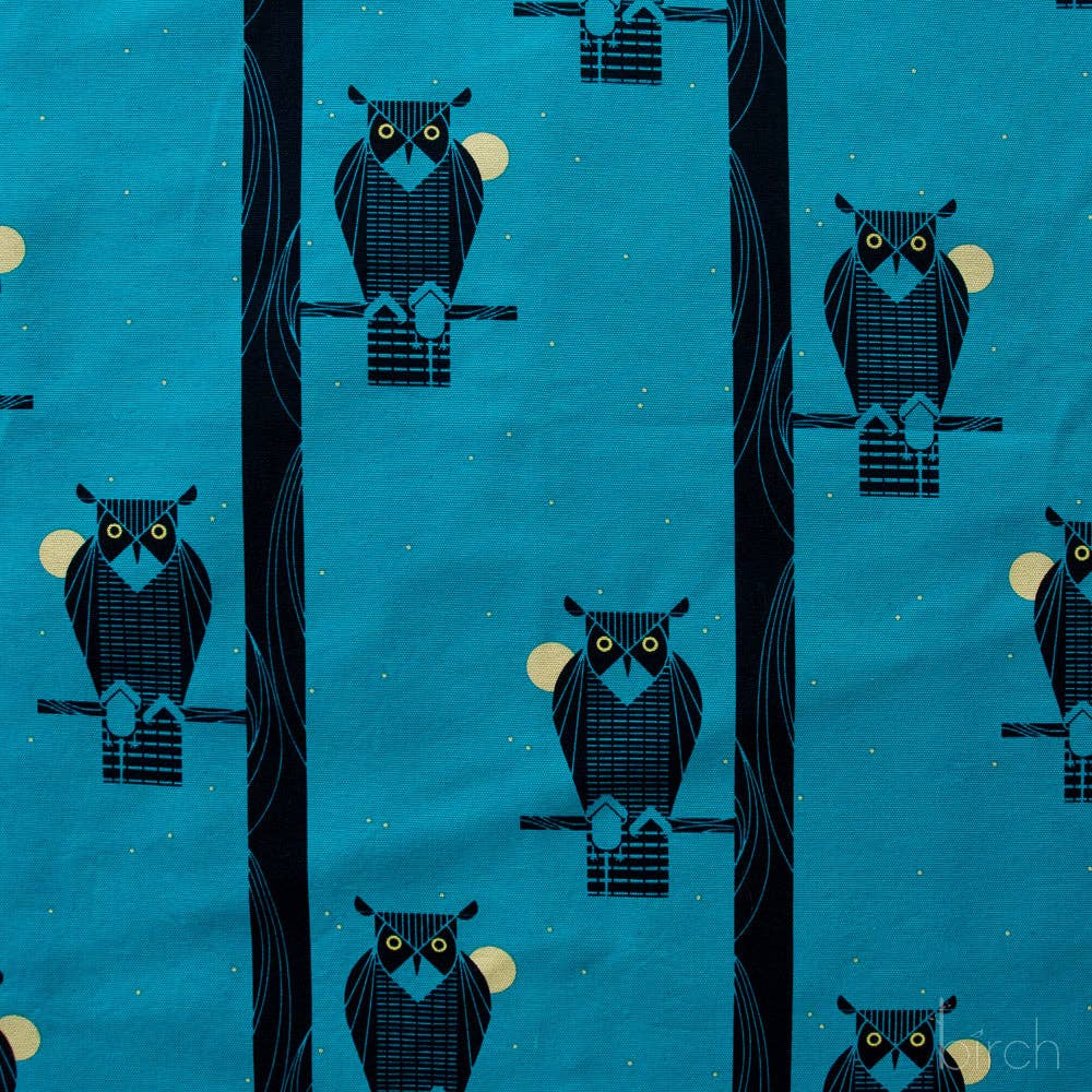 Moon Owl Canvas