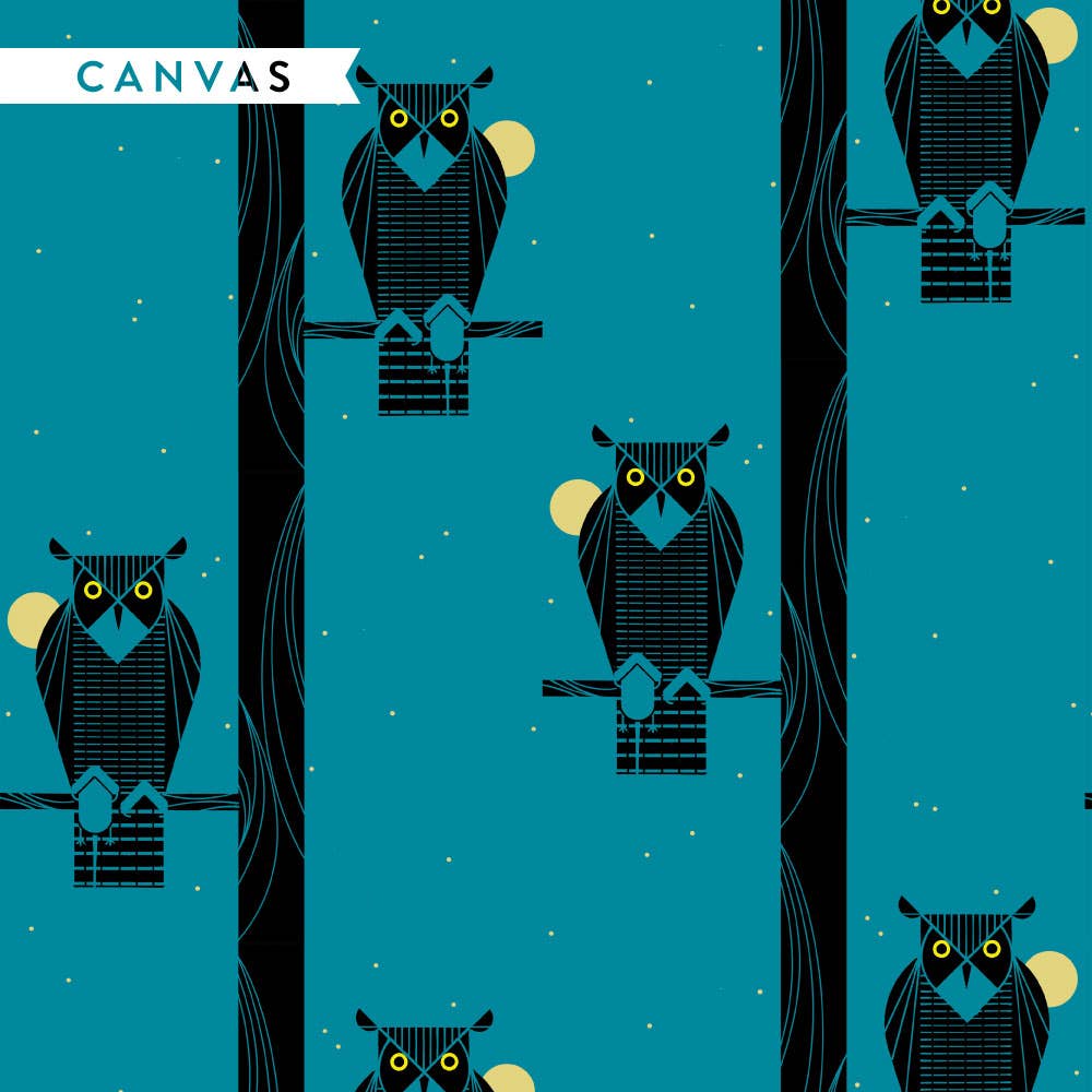 Moon Owl Canvas