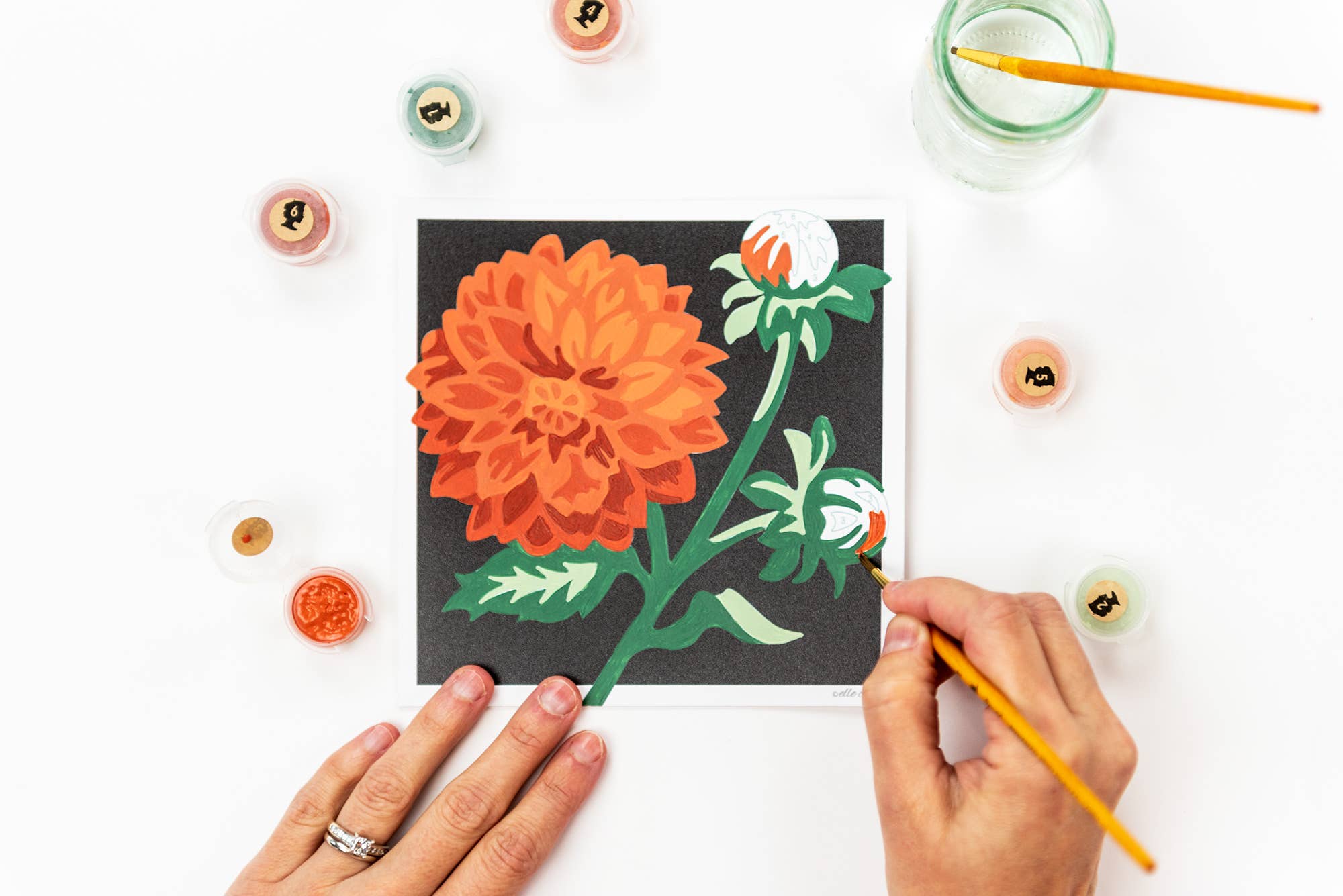 Dahlias MINI Paint-by-Number Kit