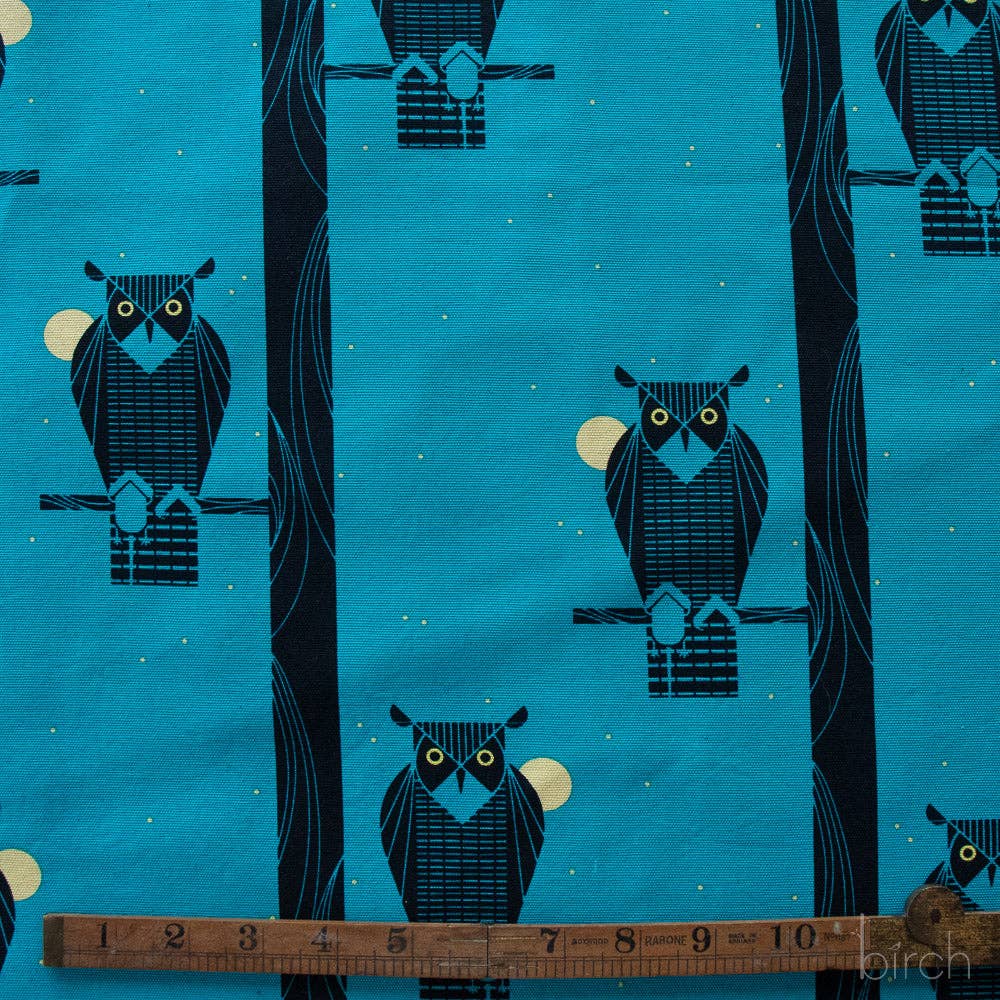 Moon Owl Canvas