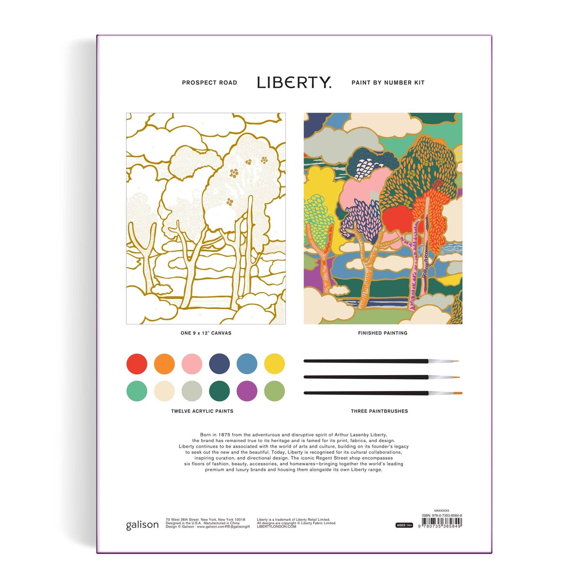 Liberty Prospect Road Paint by Number Kit