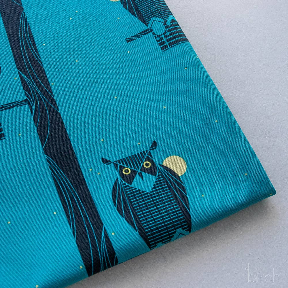 Moon Owl Canvas