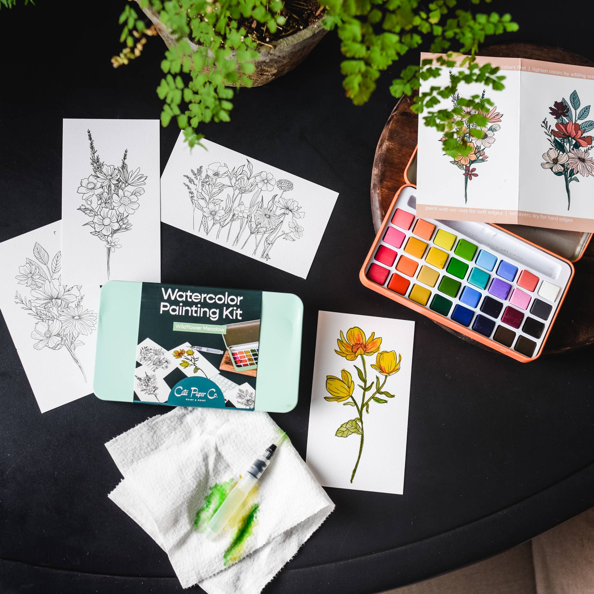 Wildflower Meadow watercolor painting kit
