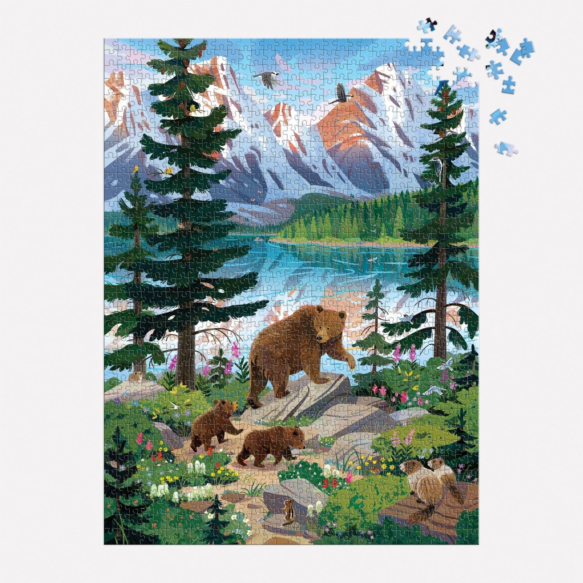 Valley of the Peaks 1000 Piece Puzzle