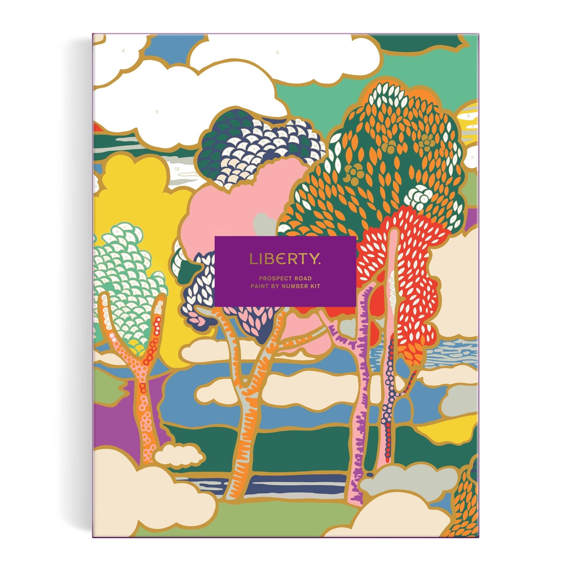 Liberty Prospect Road Paint by Number Kit