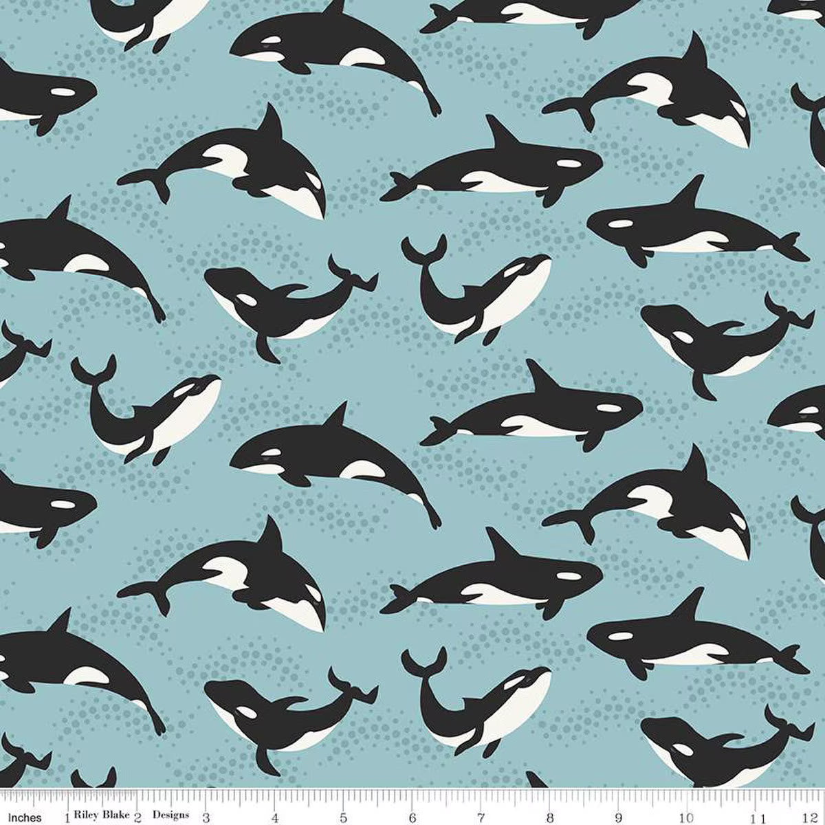 Alaska Orca Whales Aqua