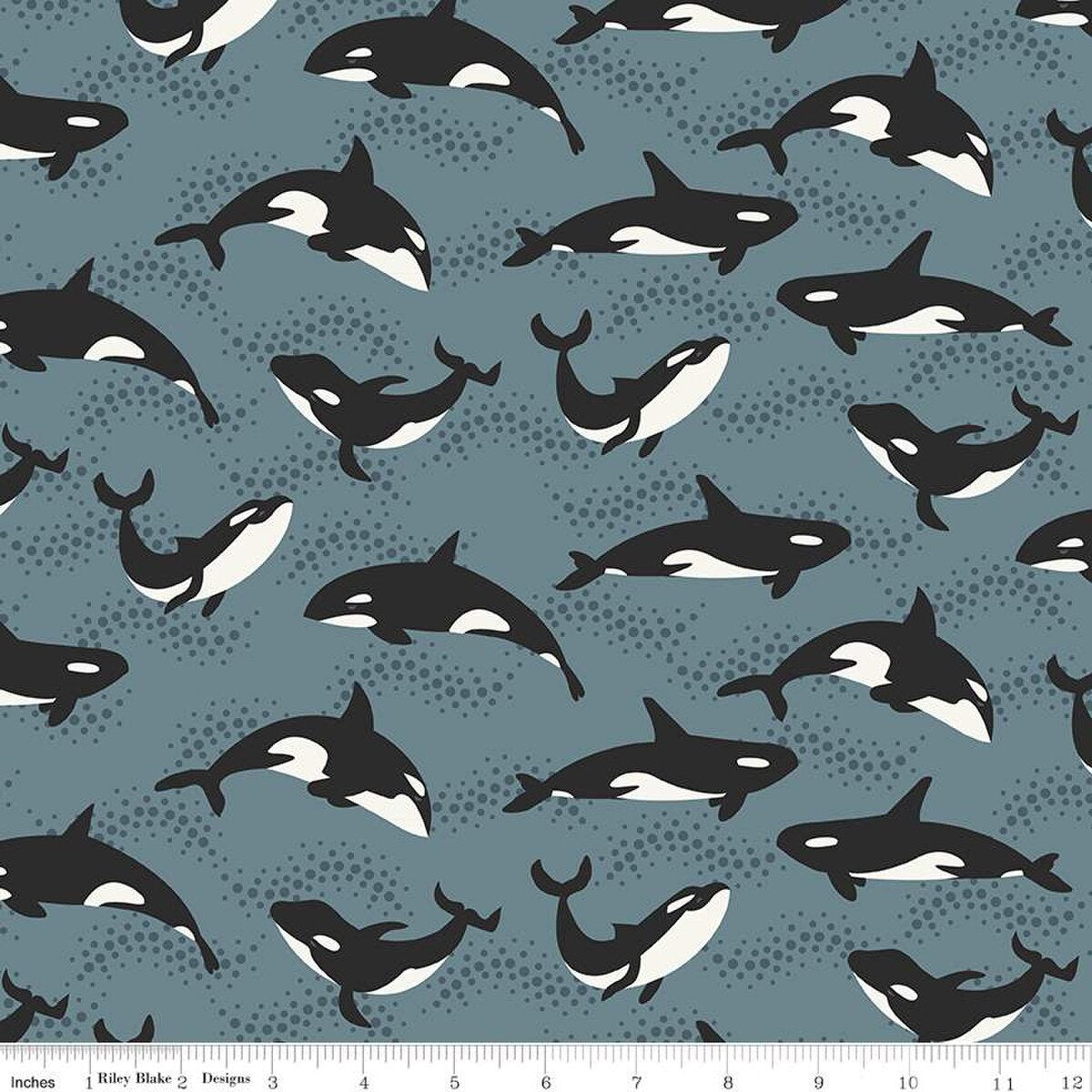 Alaska Orca Whales Blue
