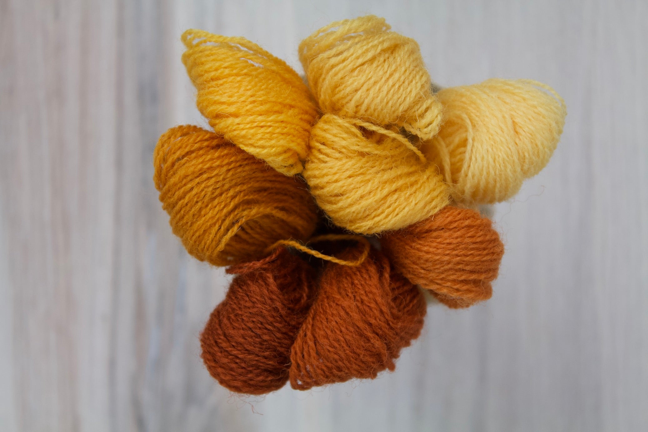 Individual Appletons Crewel Wool Skeins from the Autumn Yellow Colorway