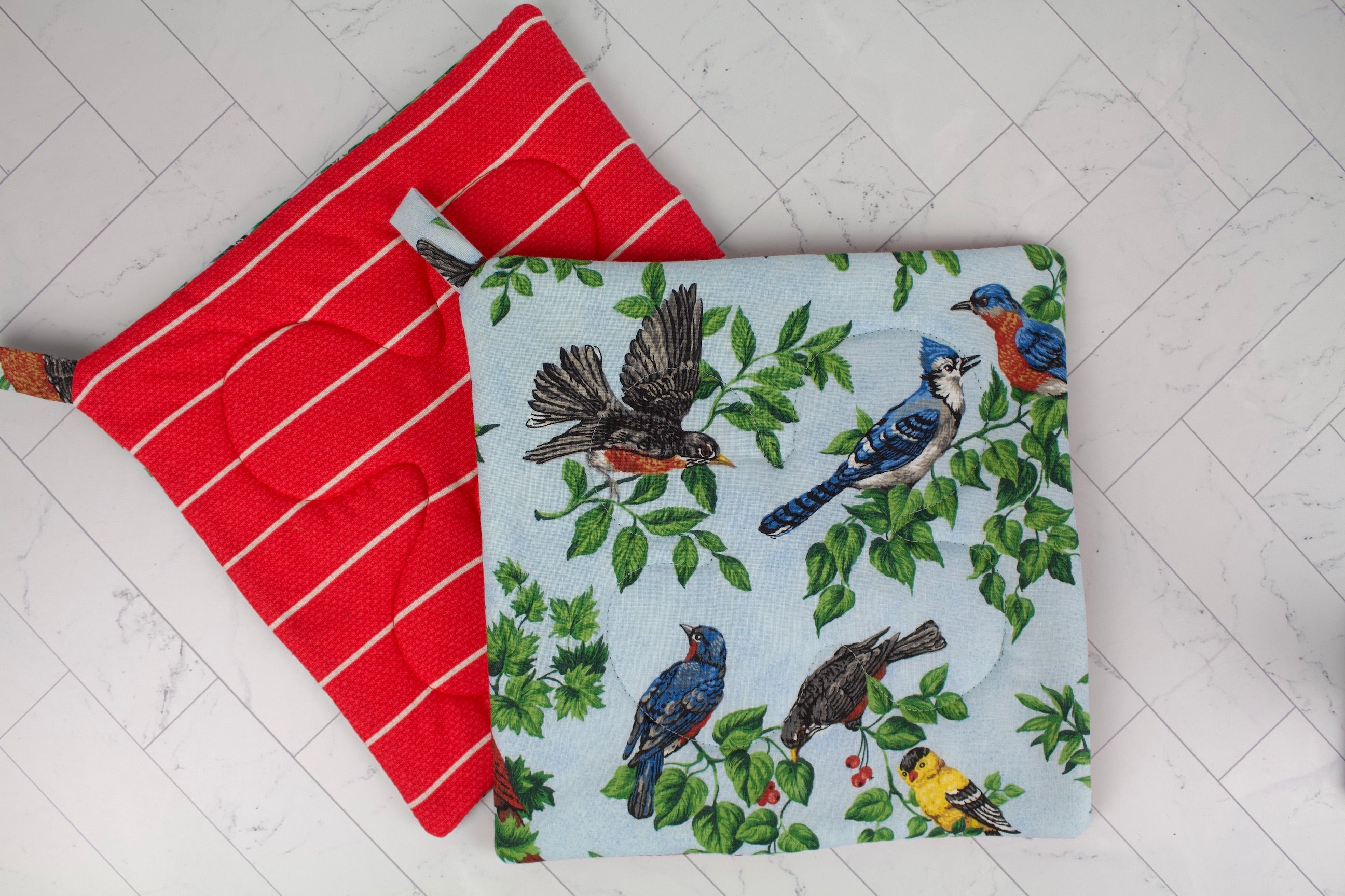 Birdsong Potholder