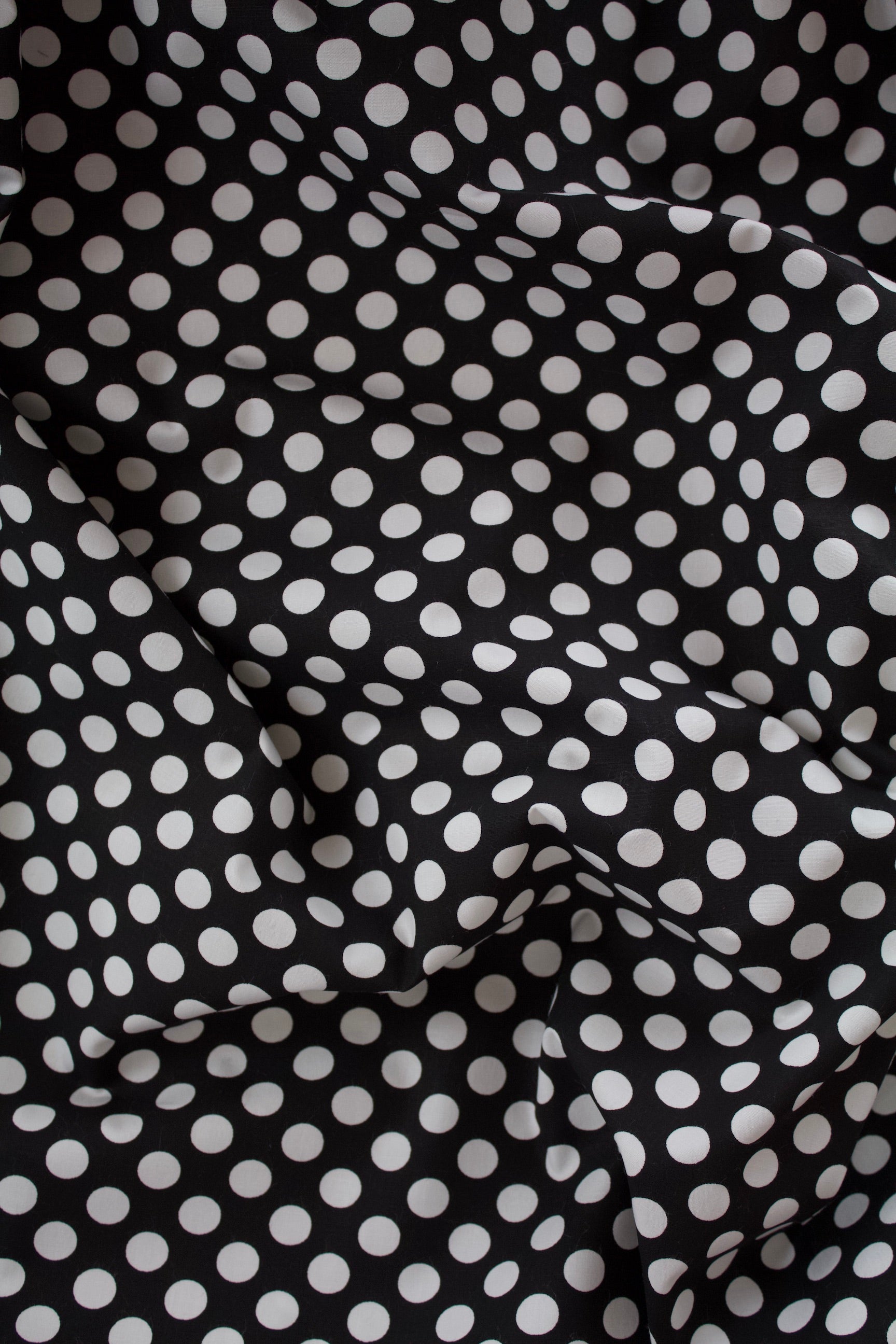 Black and White Polka Dot Cotton Poplin