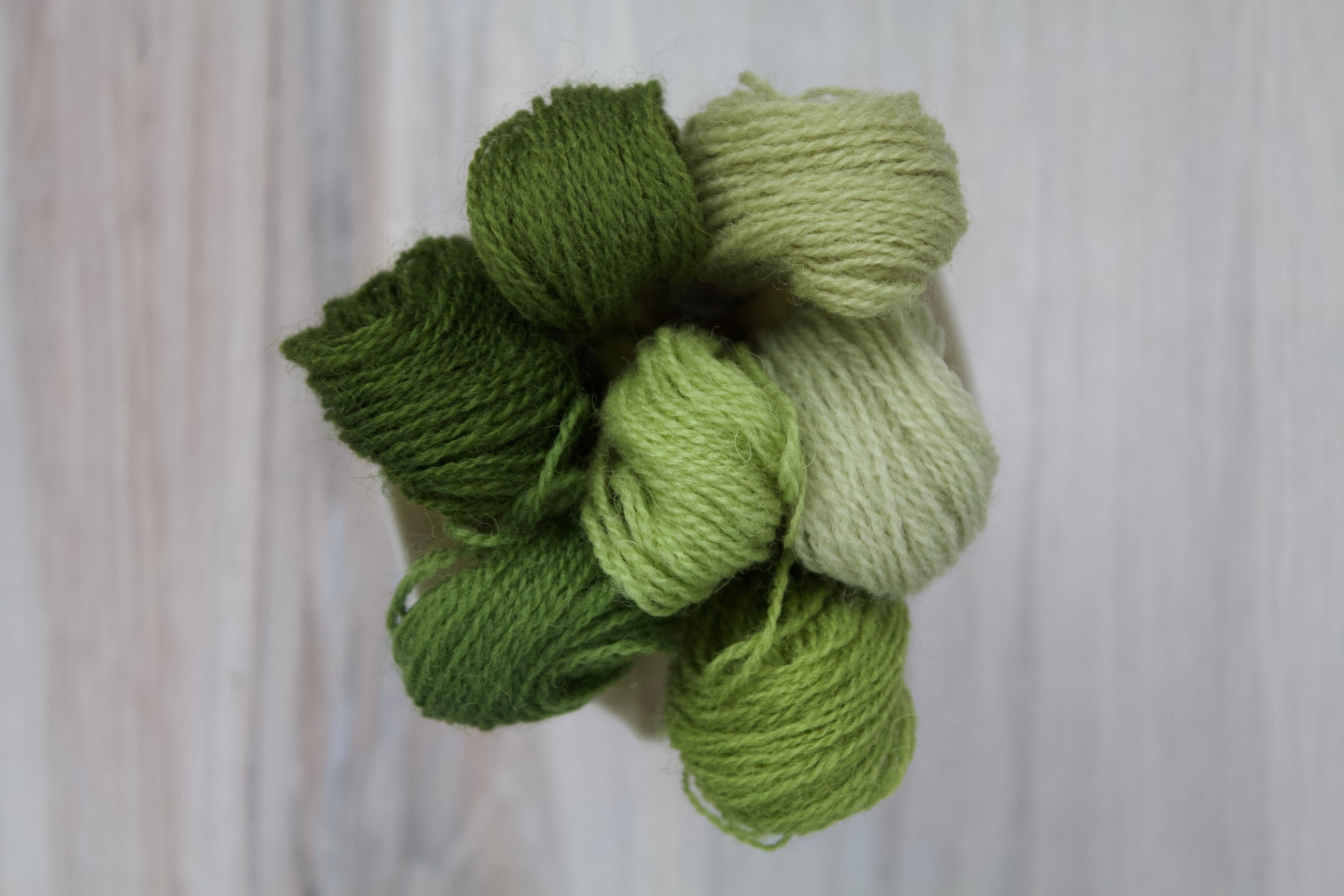 Individual Appletons Crewel Wool Skeins from the Early English Green Colorway