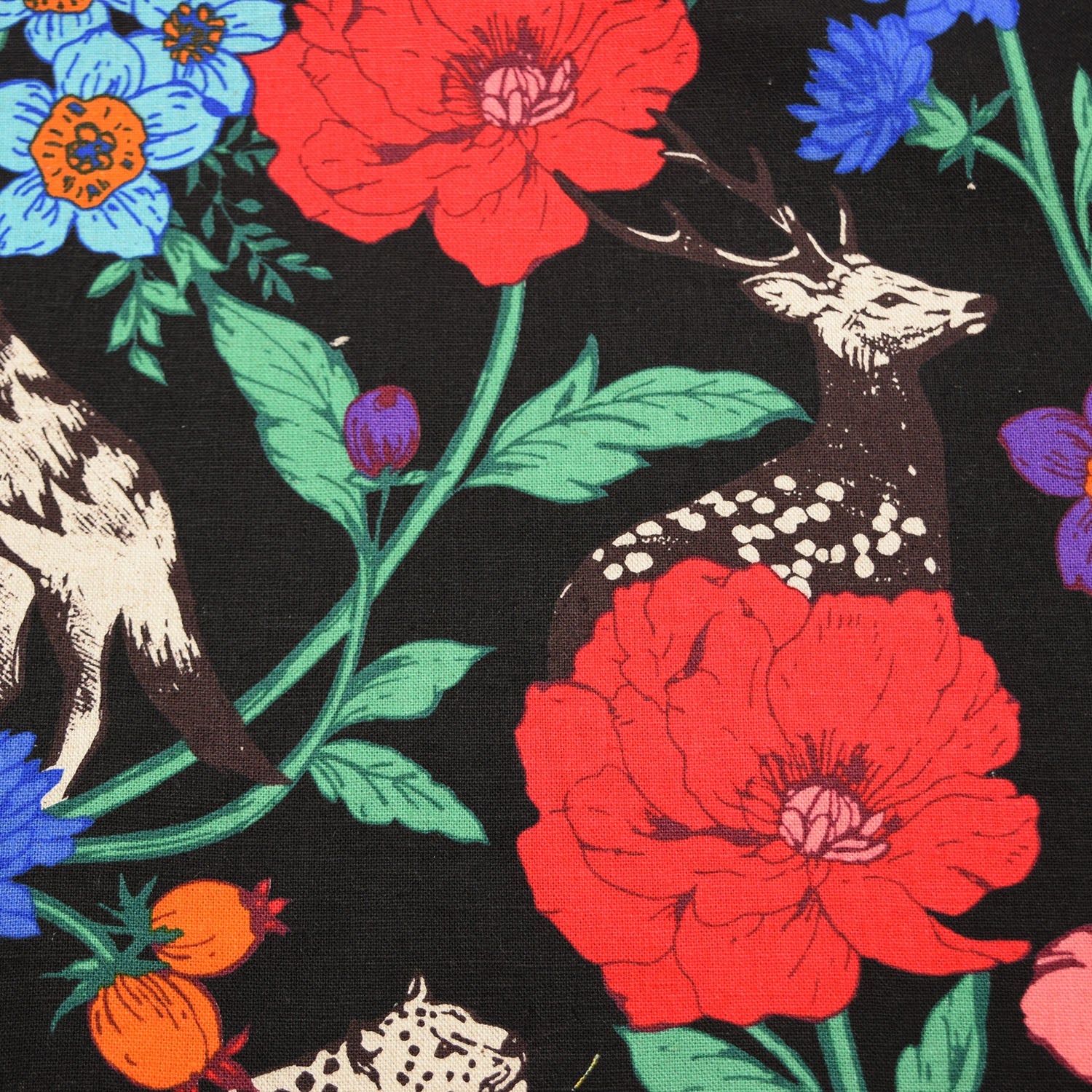 echino Wonder Canvas in Multi Black