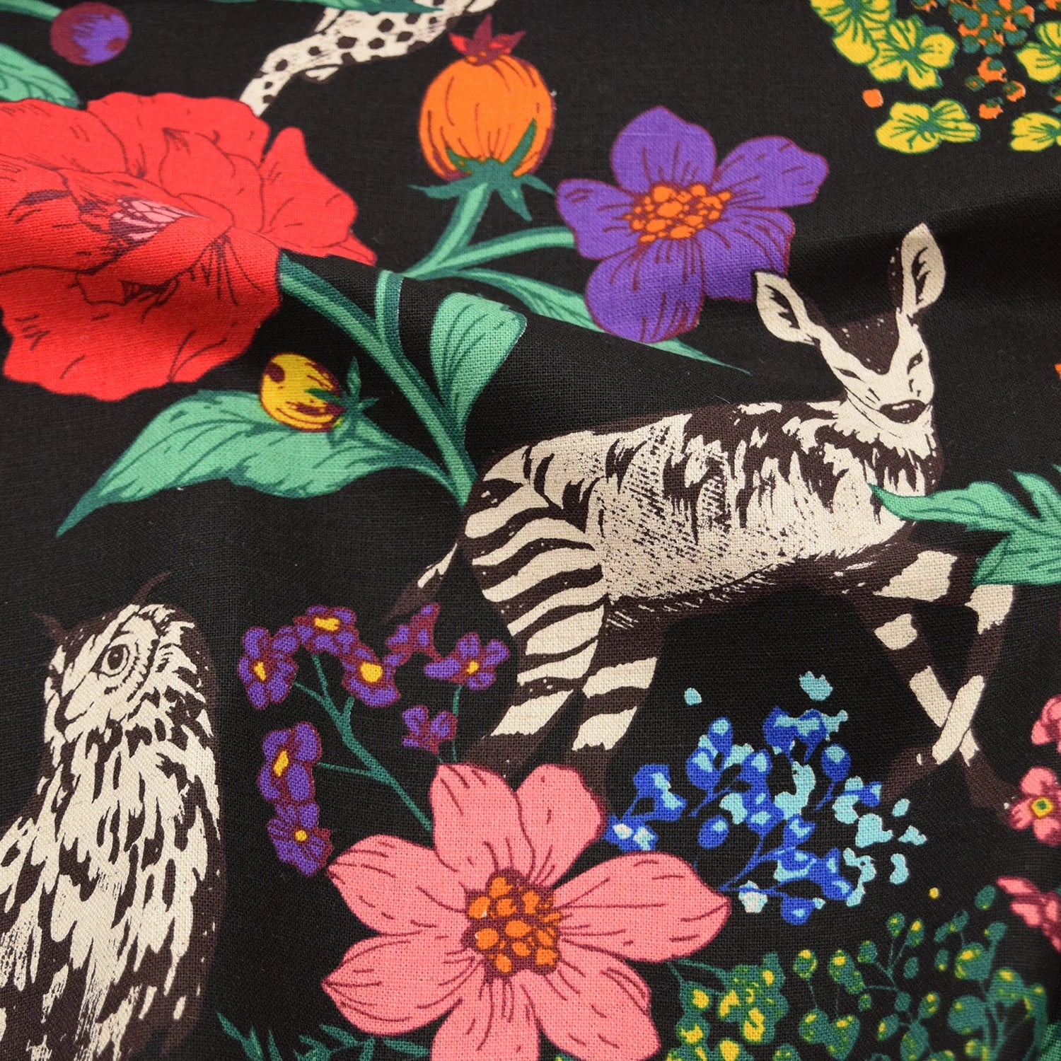 echino Wonder Canvas in Multi Black