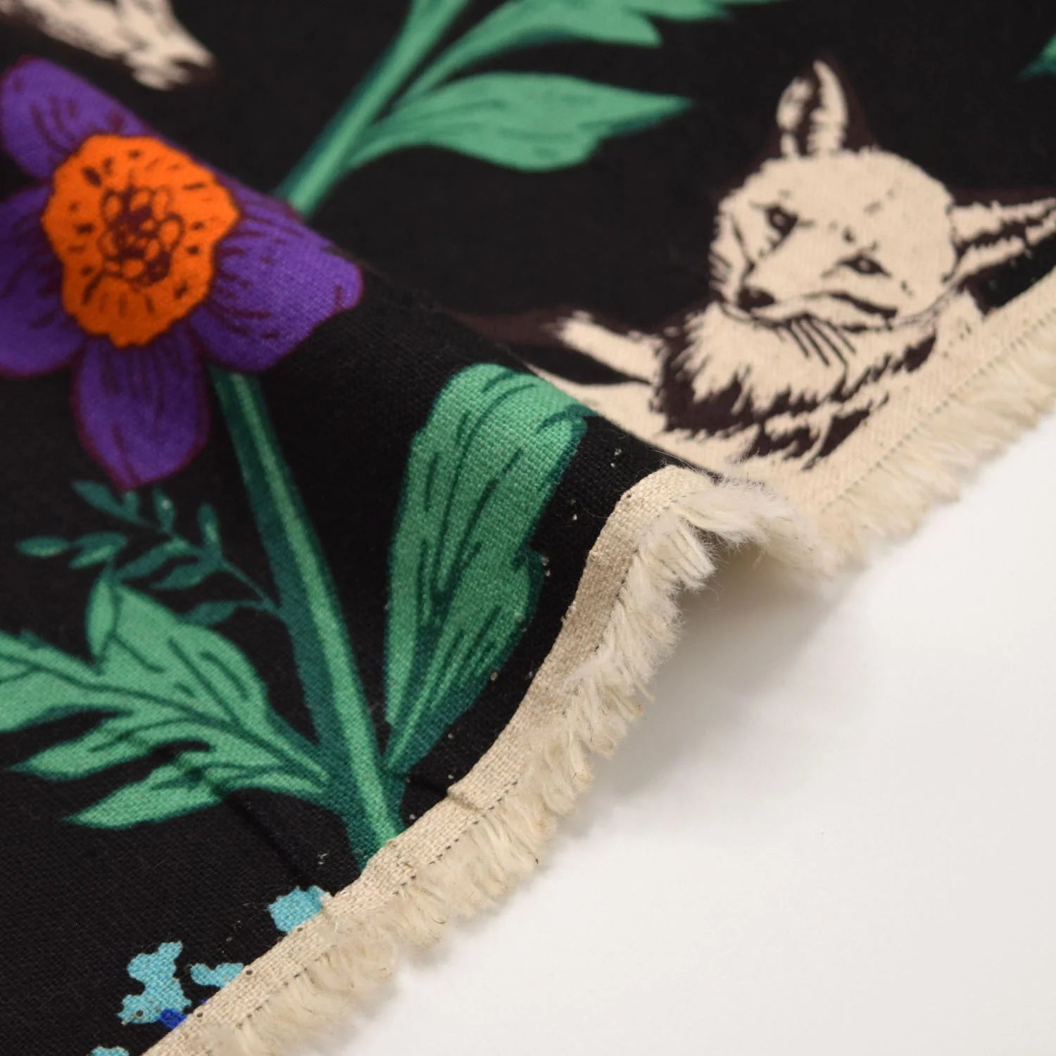 echino Wonder Canvas in Multi Black