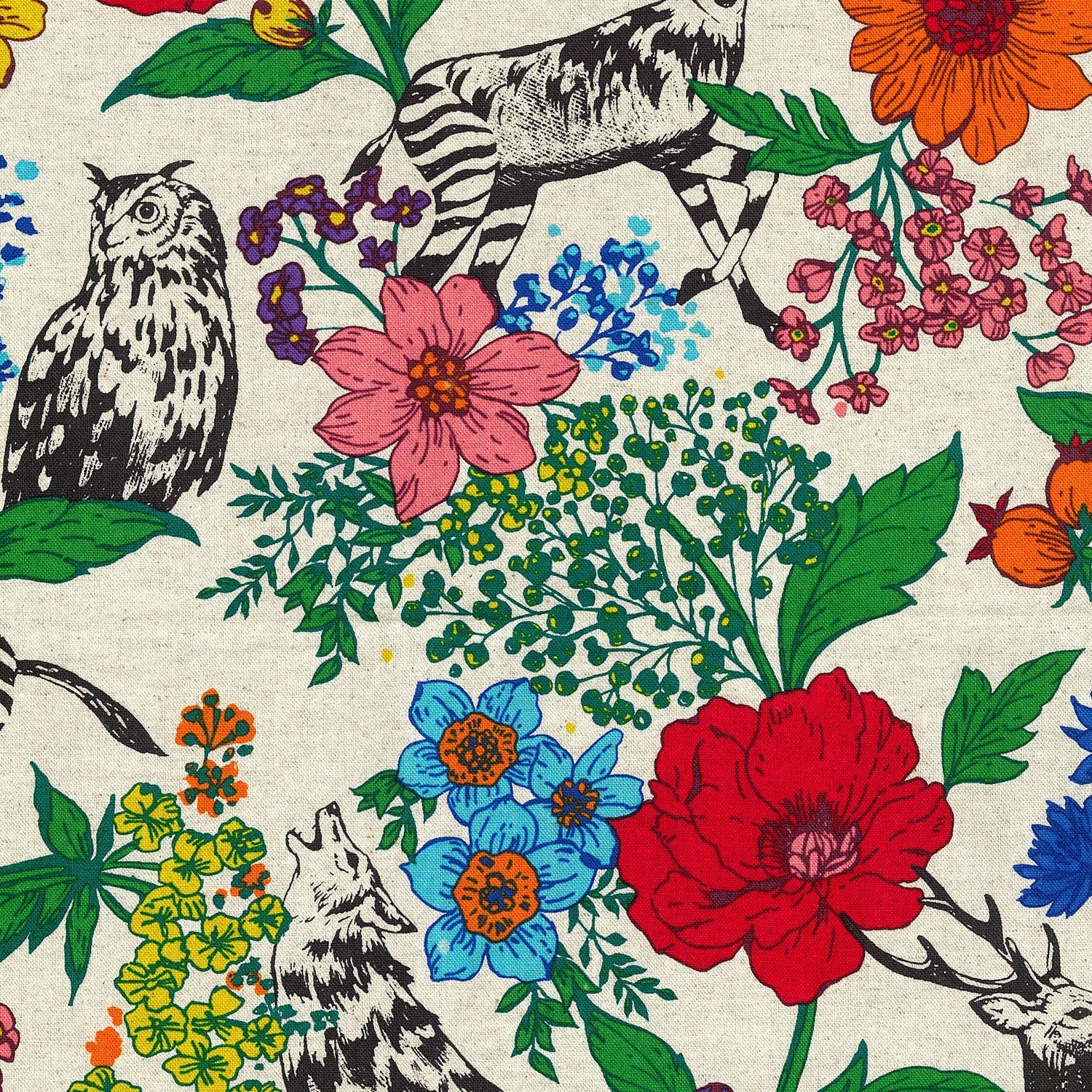 echino Wonder Canvas in Multi White