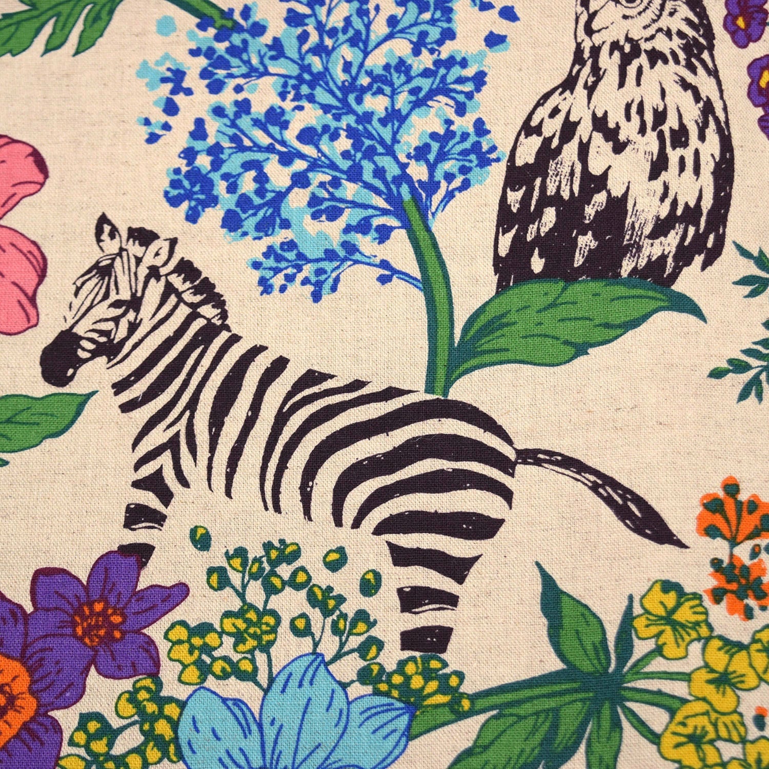 echino Wonder Canvas in Multi White