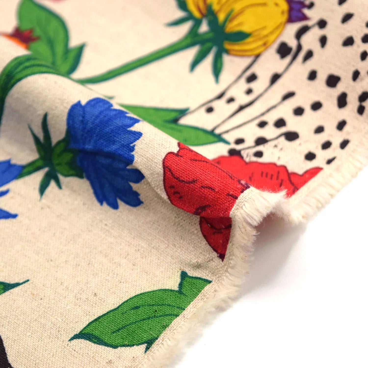 echino Wonder Canvas in Multi White