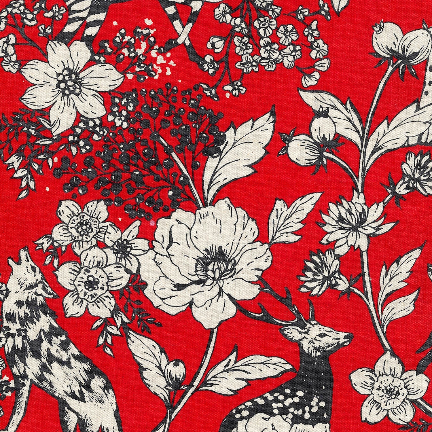 echino Wonder Canvas in Red