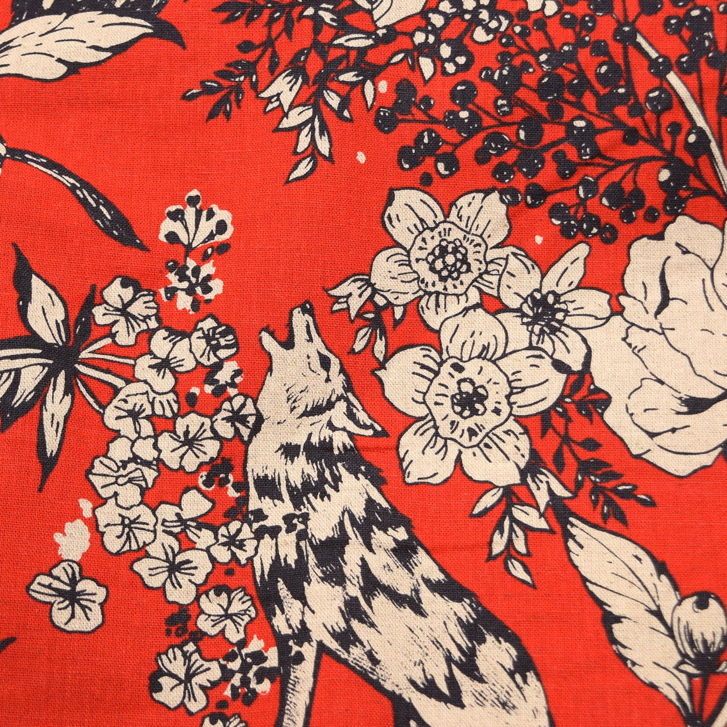 echino Wonder Canvas in Red