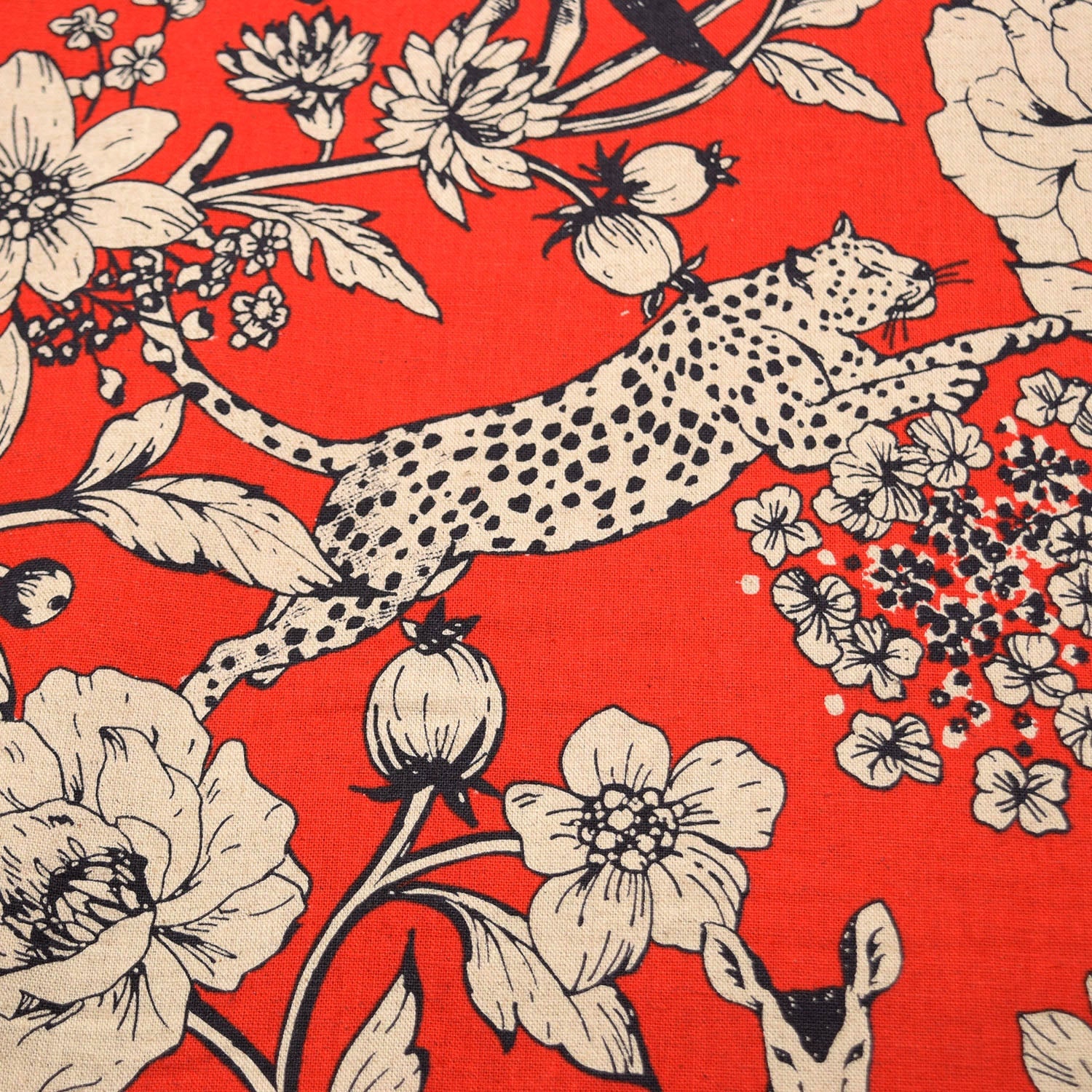 echino Wonder Canvas in Red