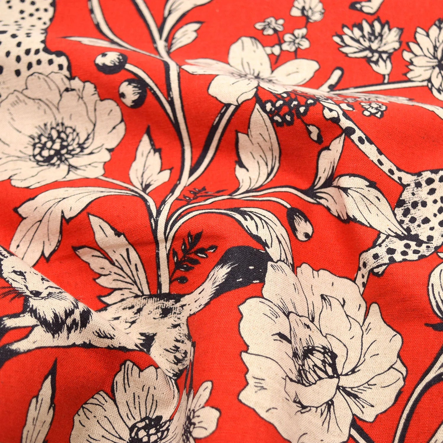echino Wonder Canvas in Red