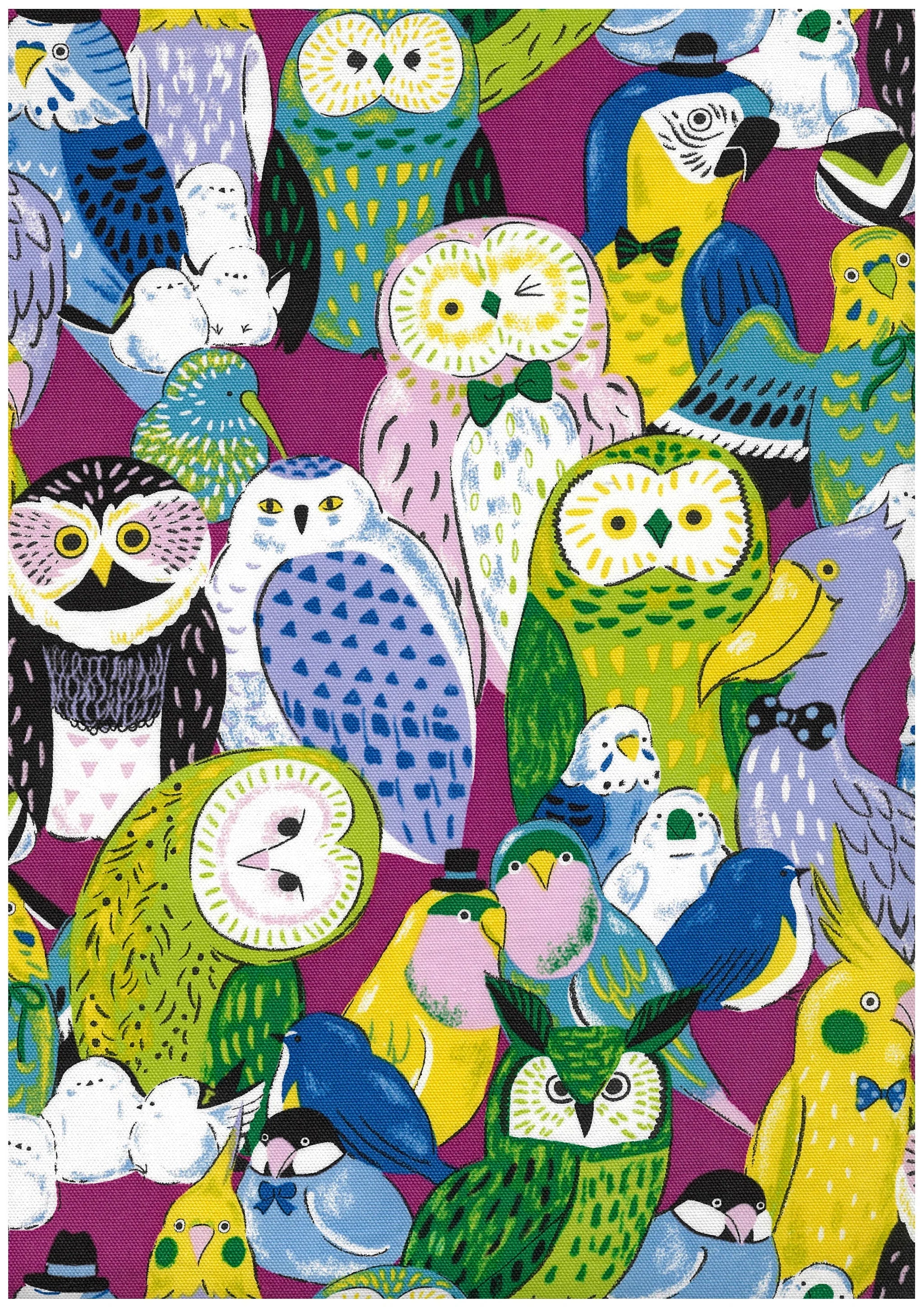 Powerful Animal Birds Oxford Canvas