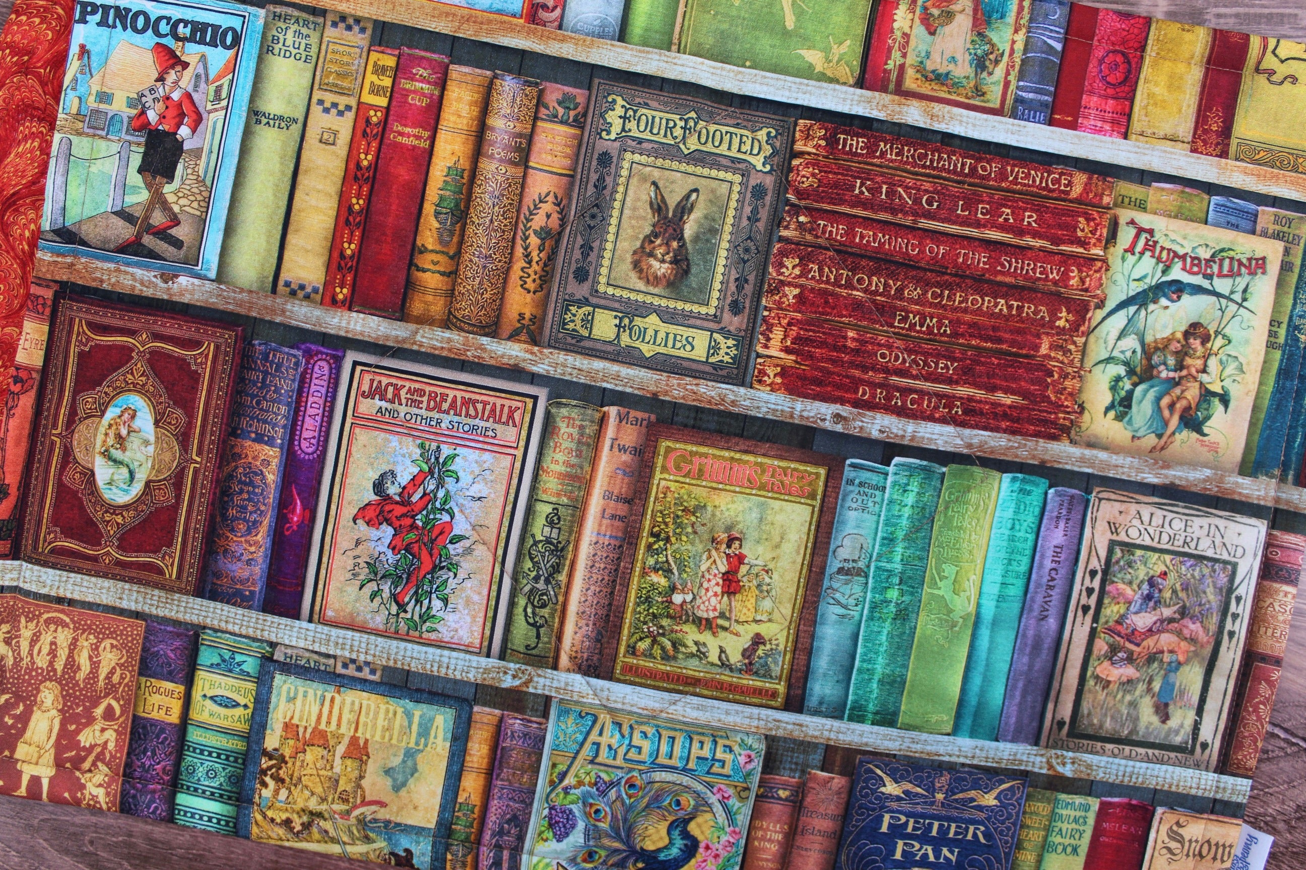 Library Shelves Placemats