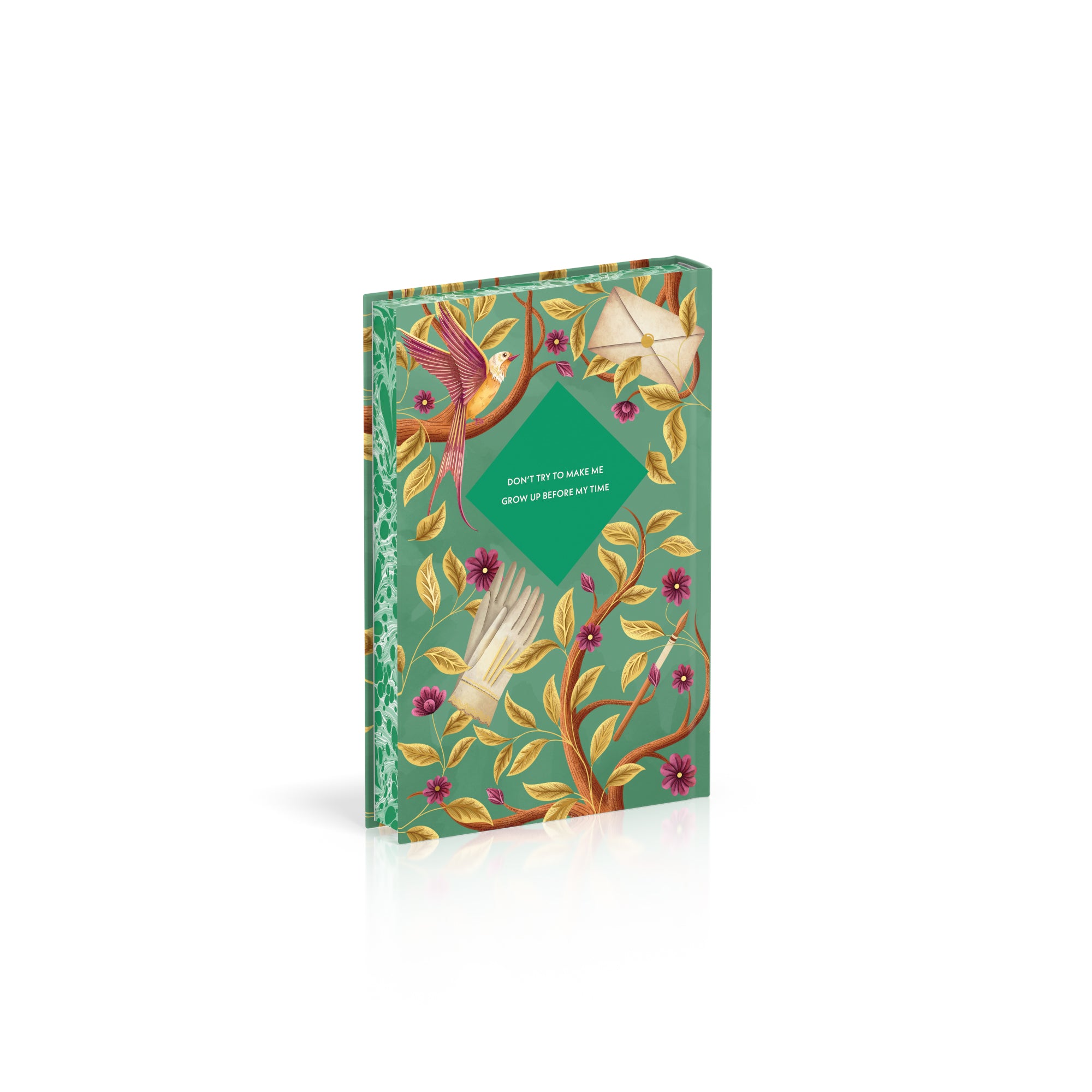 Little Women (DK Classics)