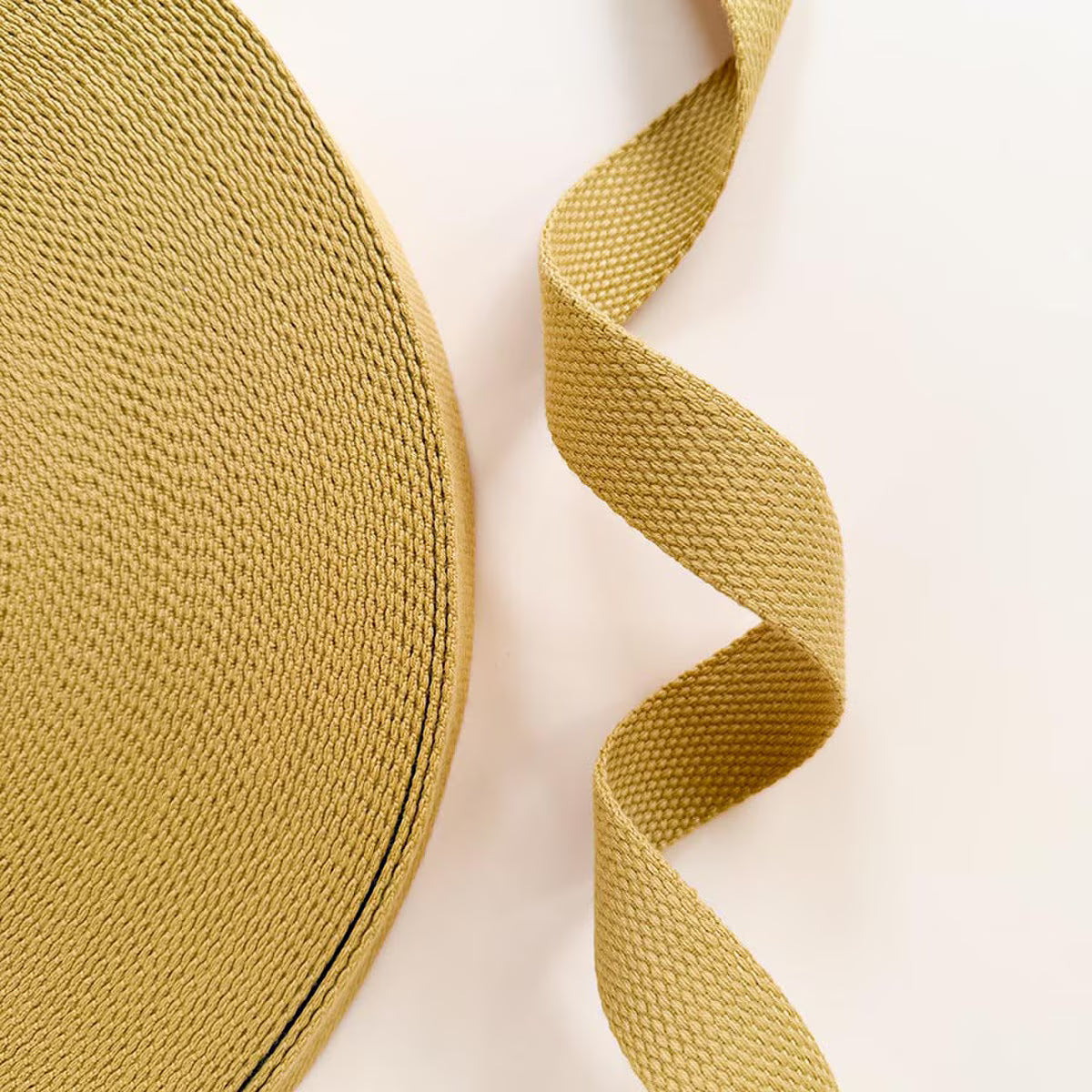 Cotton Webbing (1") by Minki Kim