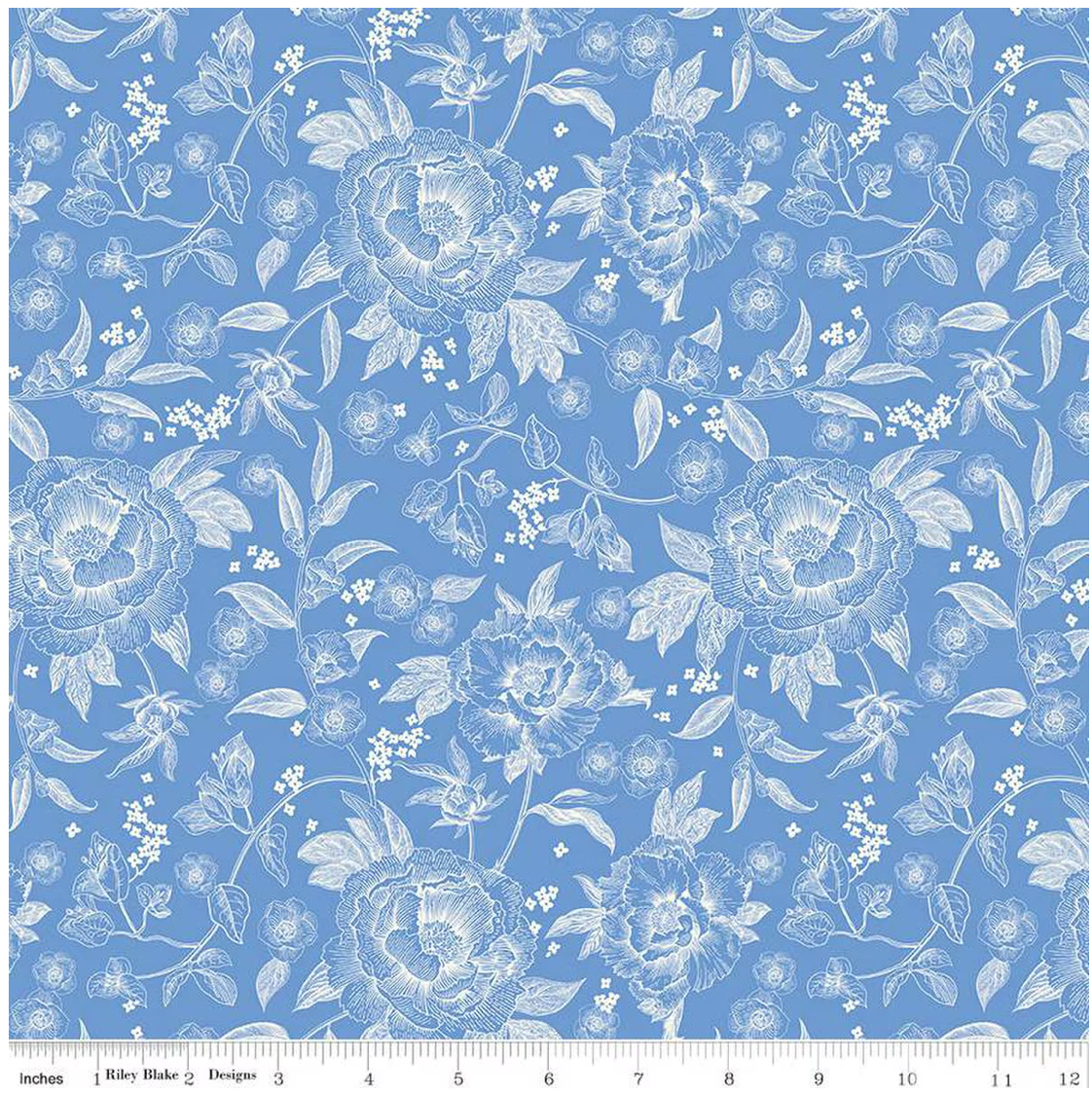 Penelope Main in Blue