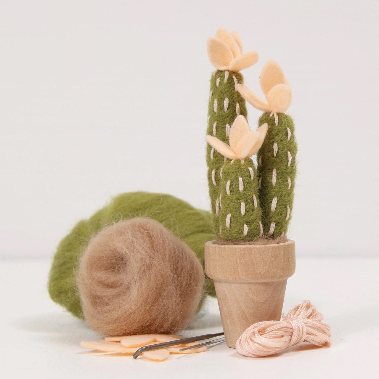 Cactus Needle Felting Craft Kit