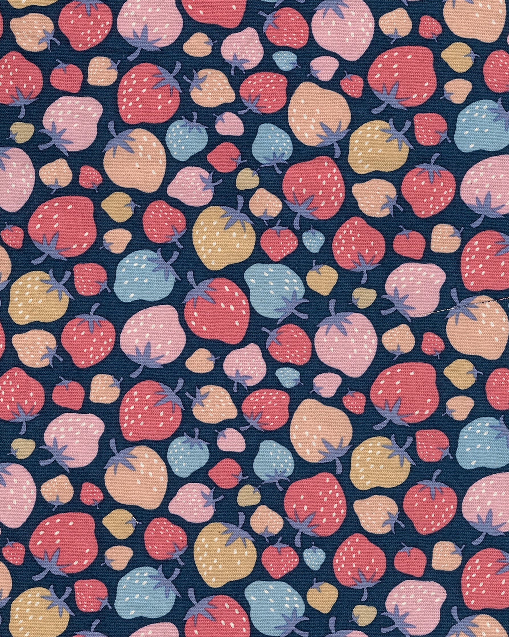 Retro Charm Strawberries Oxford Canvas