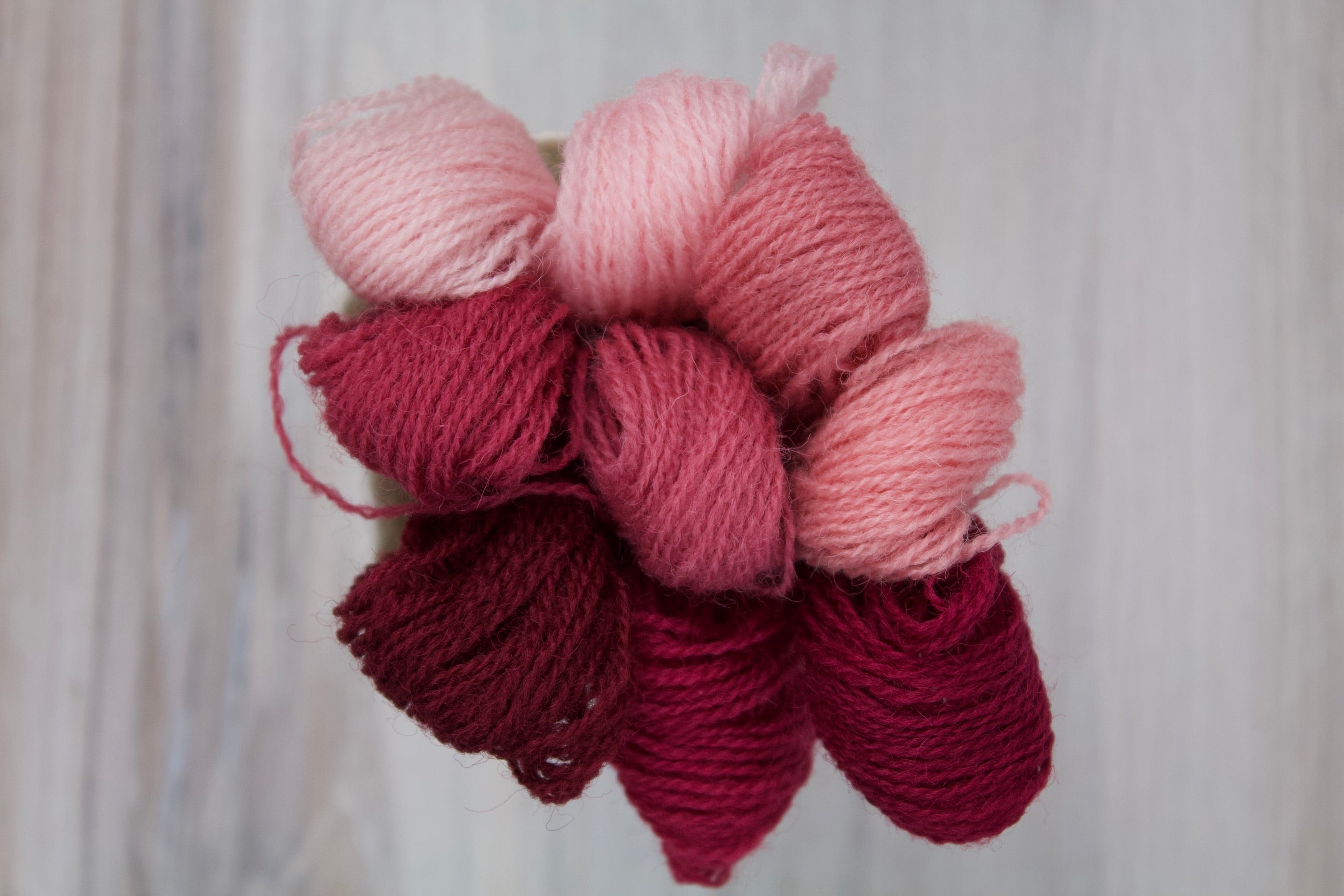 Individual Appletons Crewel Wool Skeins from the Rose Pink Colorway