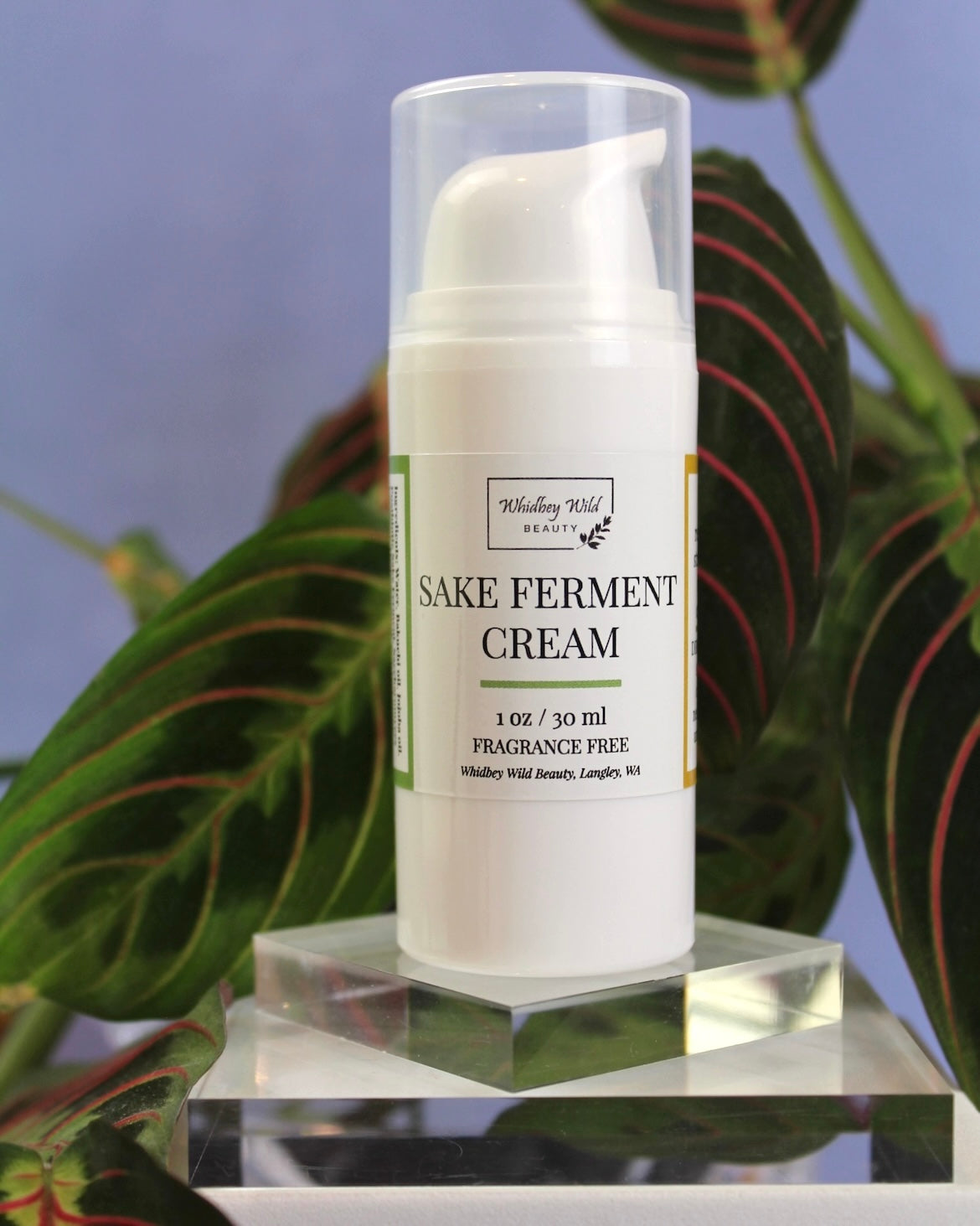 Sake Ferment Cream
