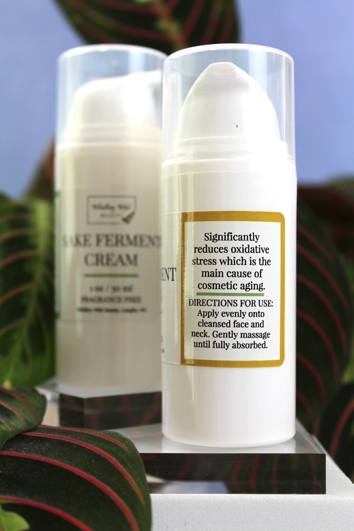 Sake Ferment Cream