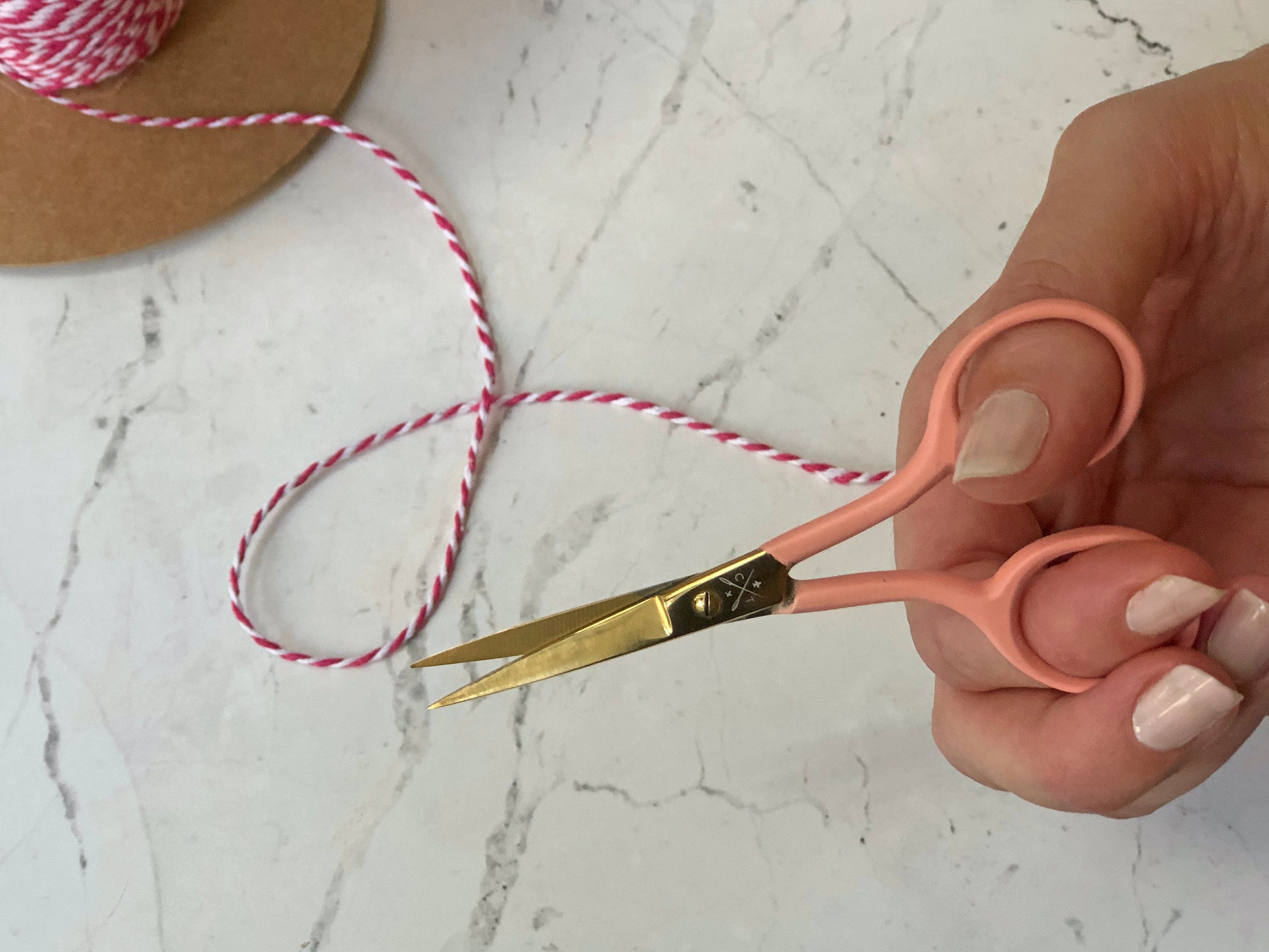Colorful Embroidery Scissors