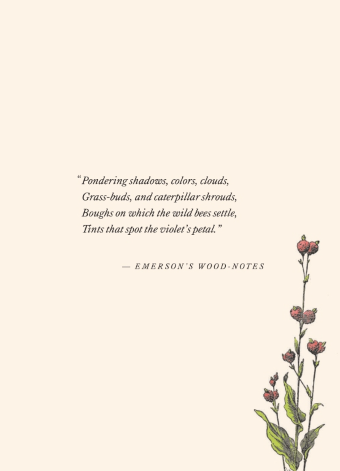 Flower Fables (Deluxe Edition)