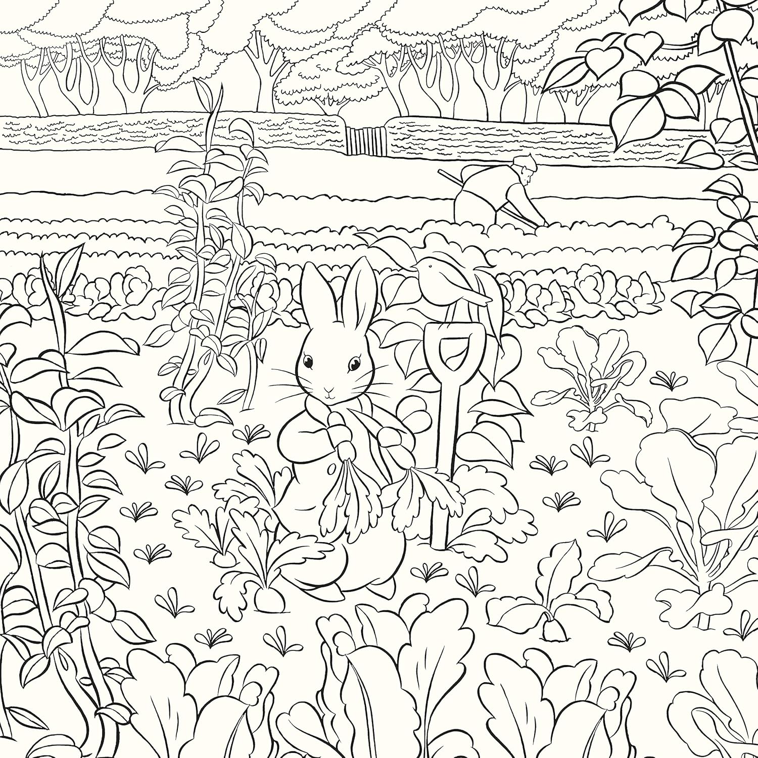 Beatrix Potter Coloring Book