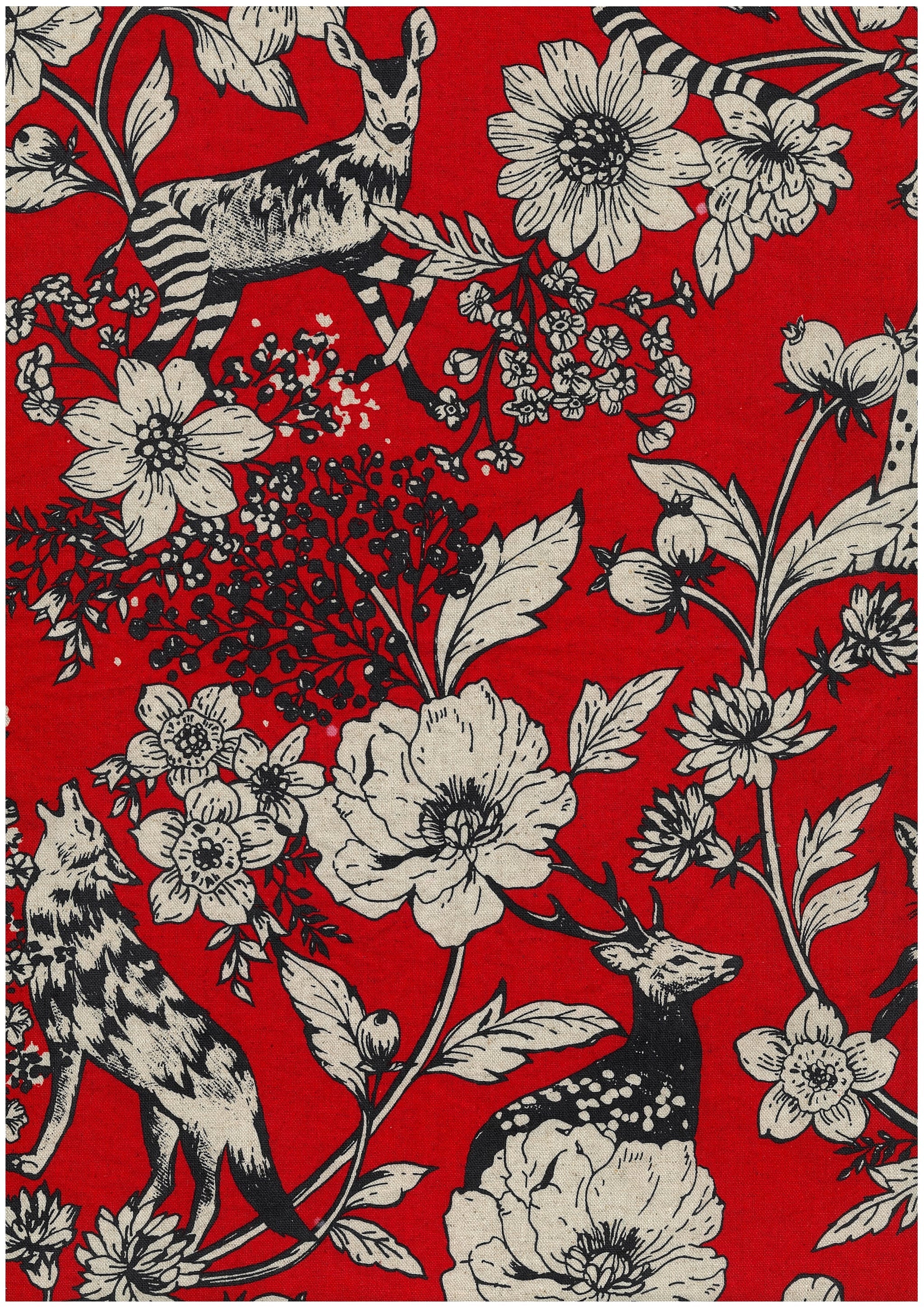 echino Wonder Canvas in Red
