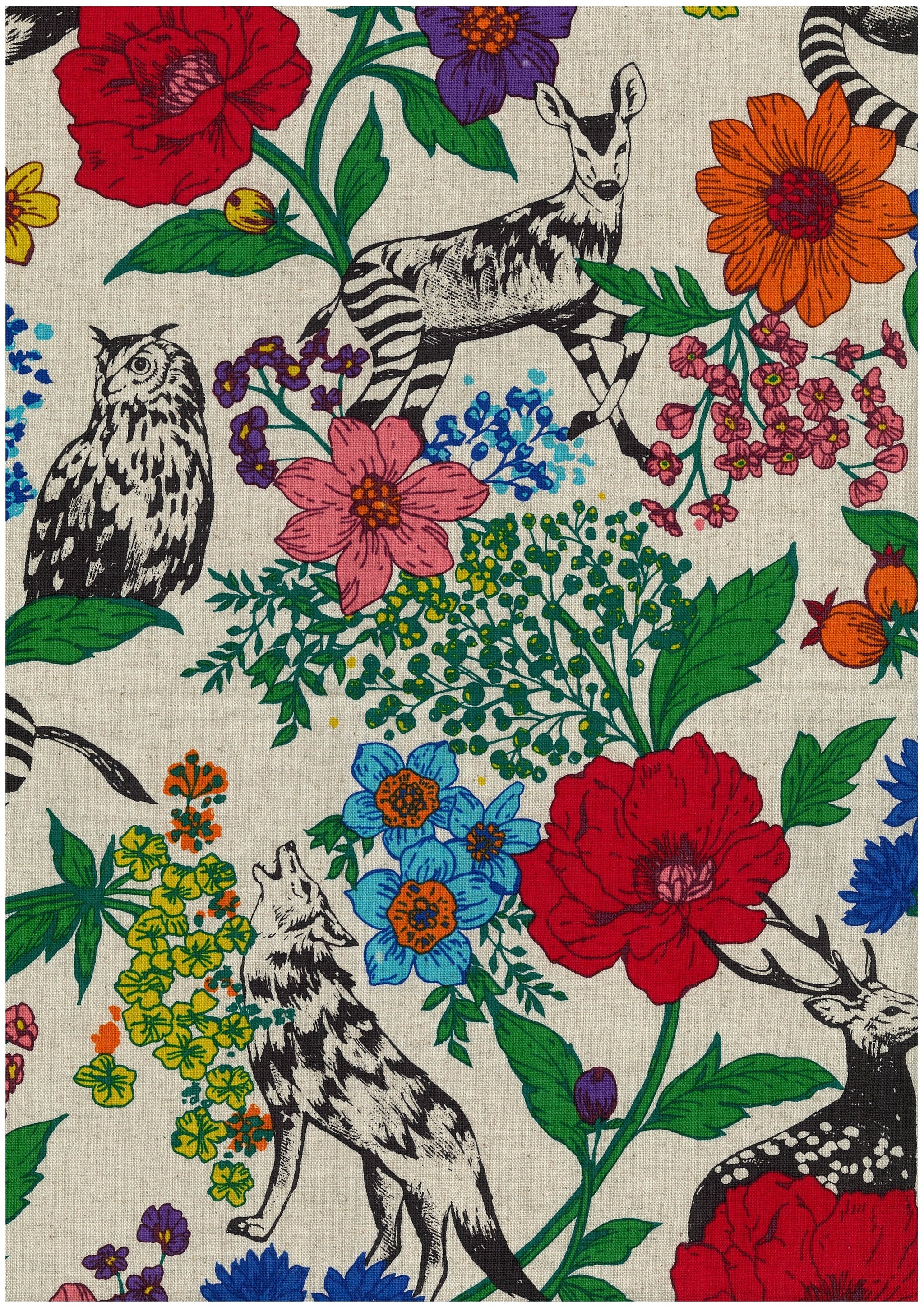 echino Wonder Canvas in Multi White