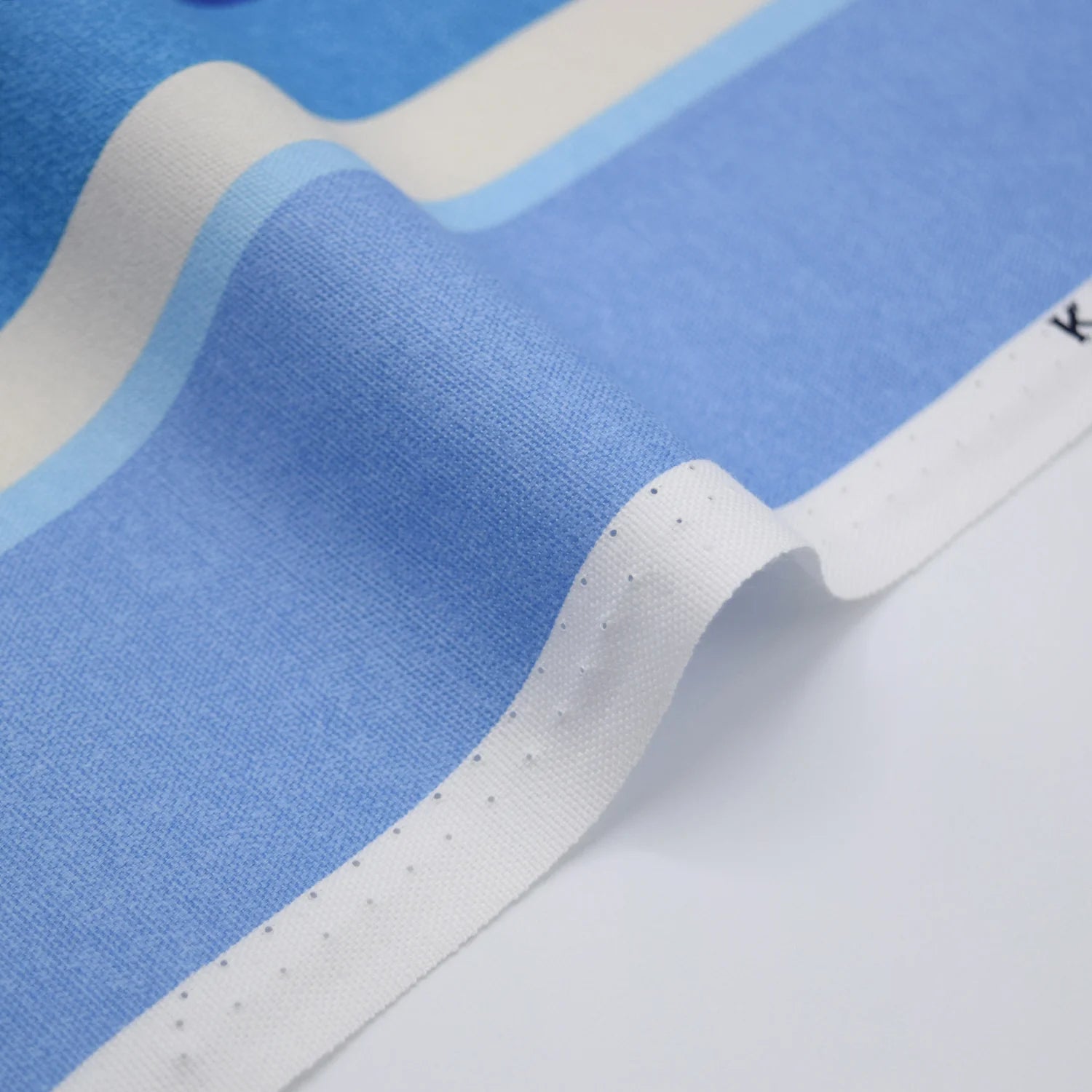 Dynamic Stripes Oxford Canvas in Blue Multi