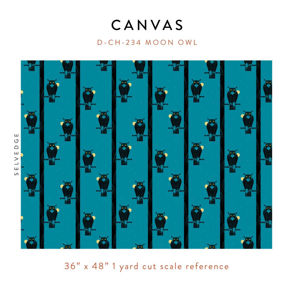 Moon Owl Canvas