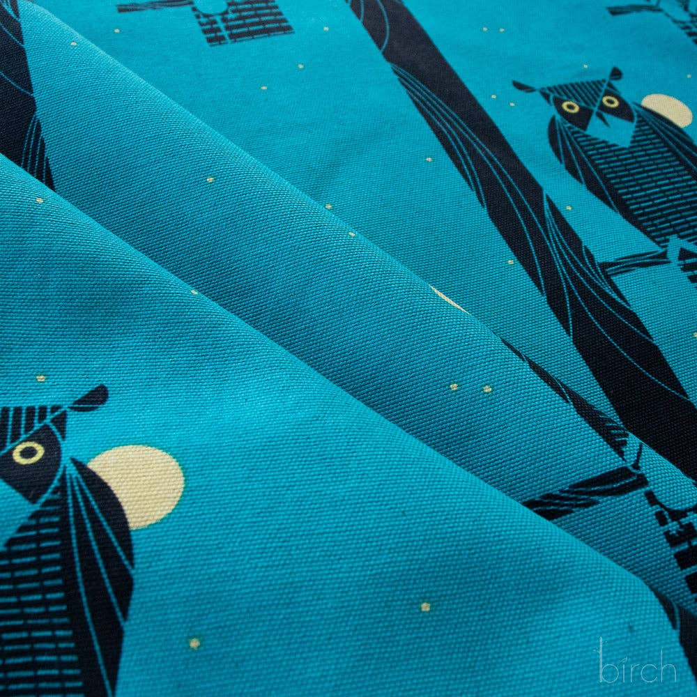 Moon Owl Canvas