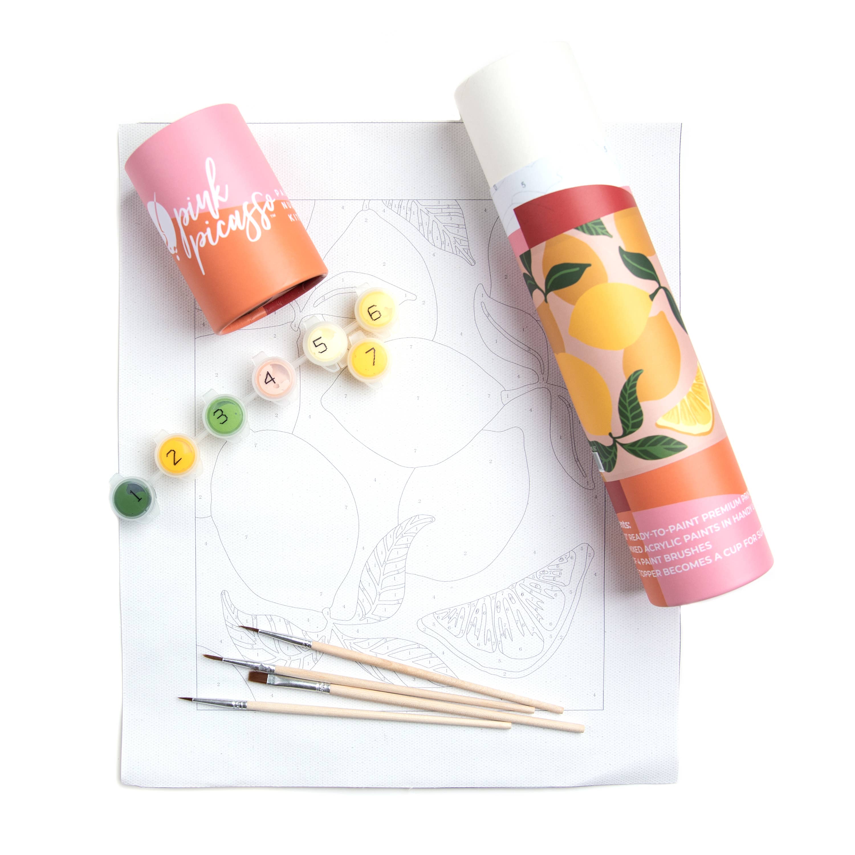 Be Zesty Paint by Number Kit