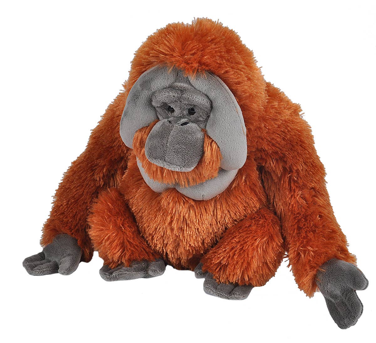 CK Orangutan Male Stuffed Animal 12"