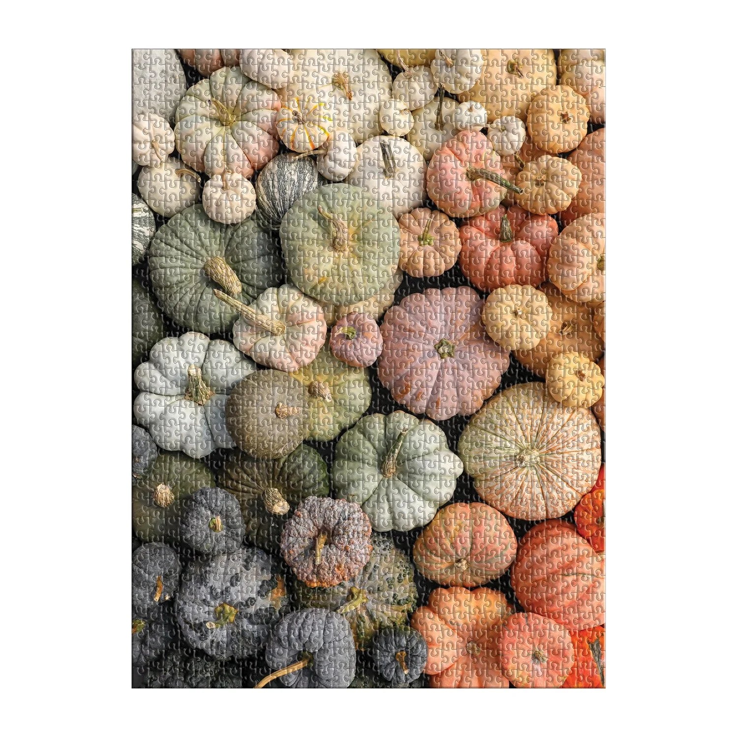 Heirloom Pumpkins Puzzle